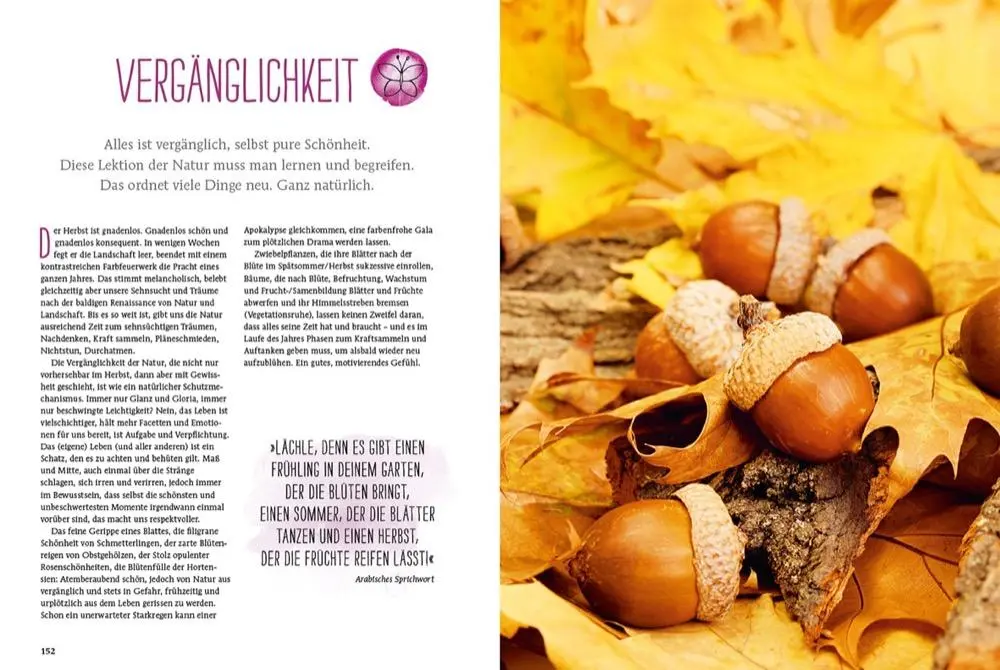 Bild: 9783959611633 | Durch Gärtnern zur Achtsamkeit | Lars Weigelt | Buch | 192 S. | 2018