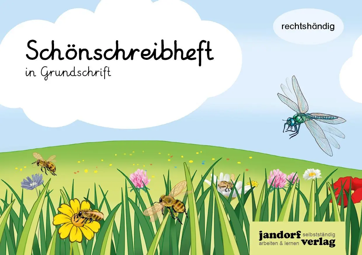 Cover: 9783960811633 | Schönschreibheft in GS - rechtshändig - Grundschrift | Anja Wachendorf