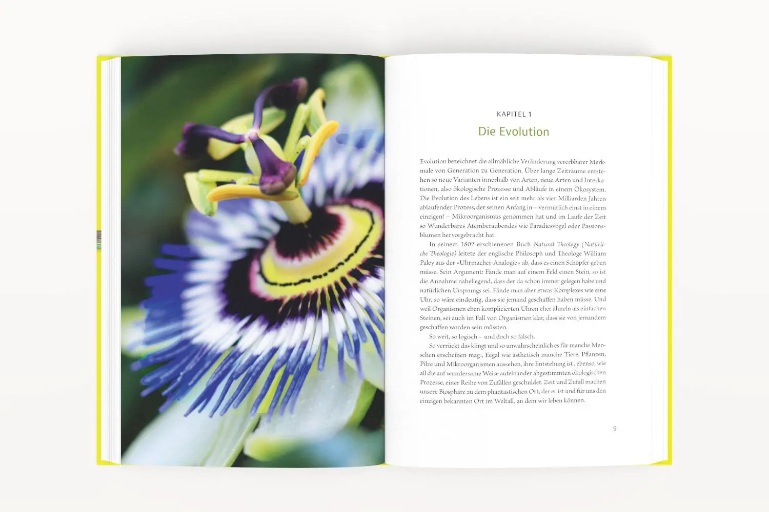 Bild: 9783987261633 | Kann KI die Natur retten? | Frauke Fischer (u. a.) | Buch | 208 S.