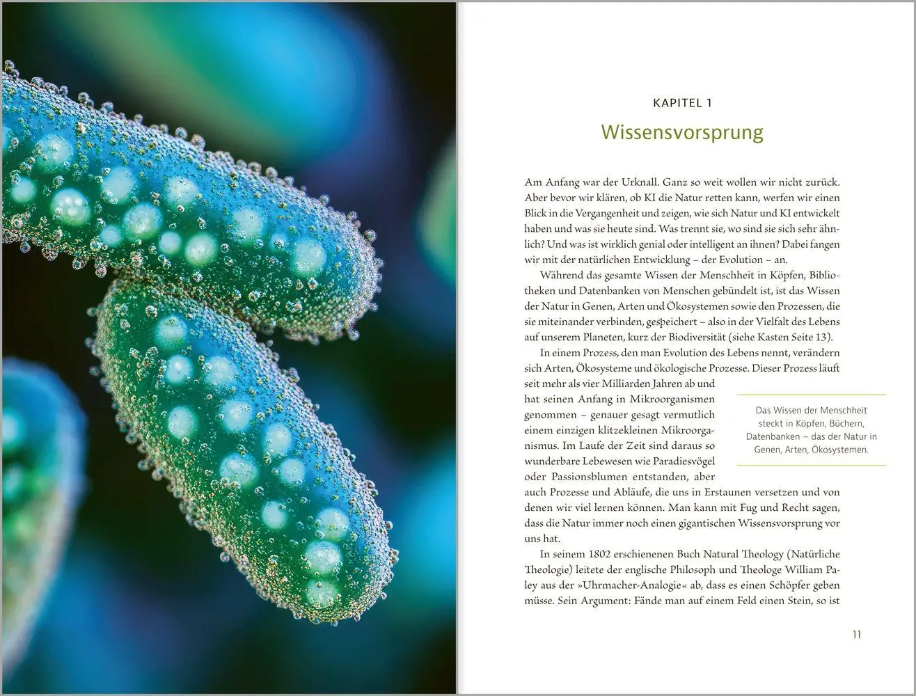 Bild: 9783987261633 | Kann KI die Natur retten? | Frauke Fischer (u. a.) | Buch | 208 S.