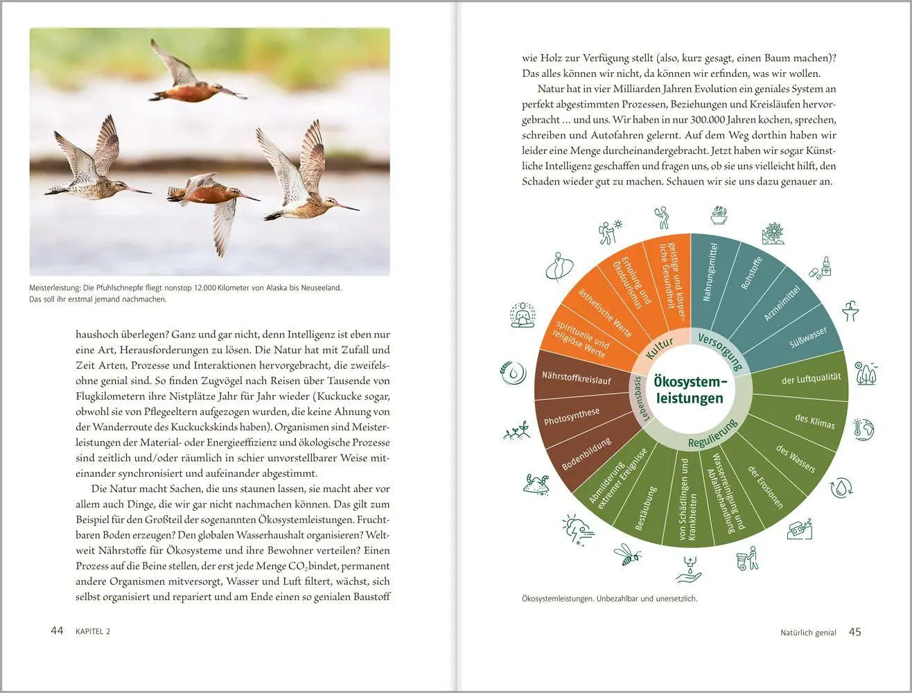 Bild: 9783987261633 | Kann KI die Natur retten? | Frauke Fischer (u. a.) | Buch | 208 S.