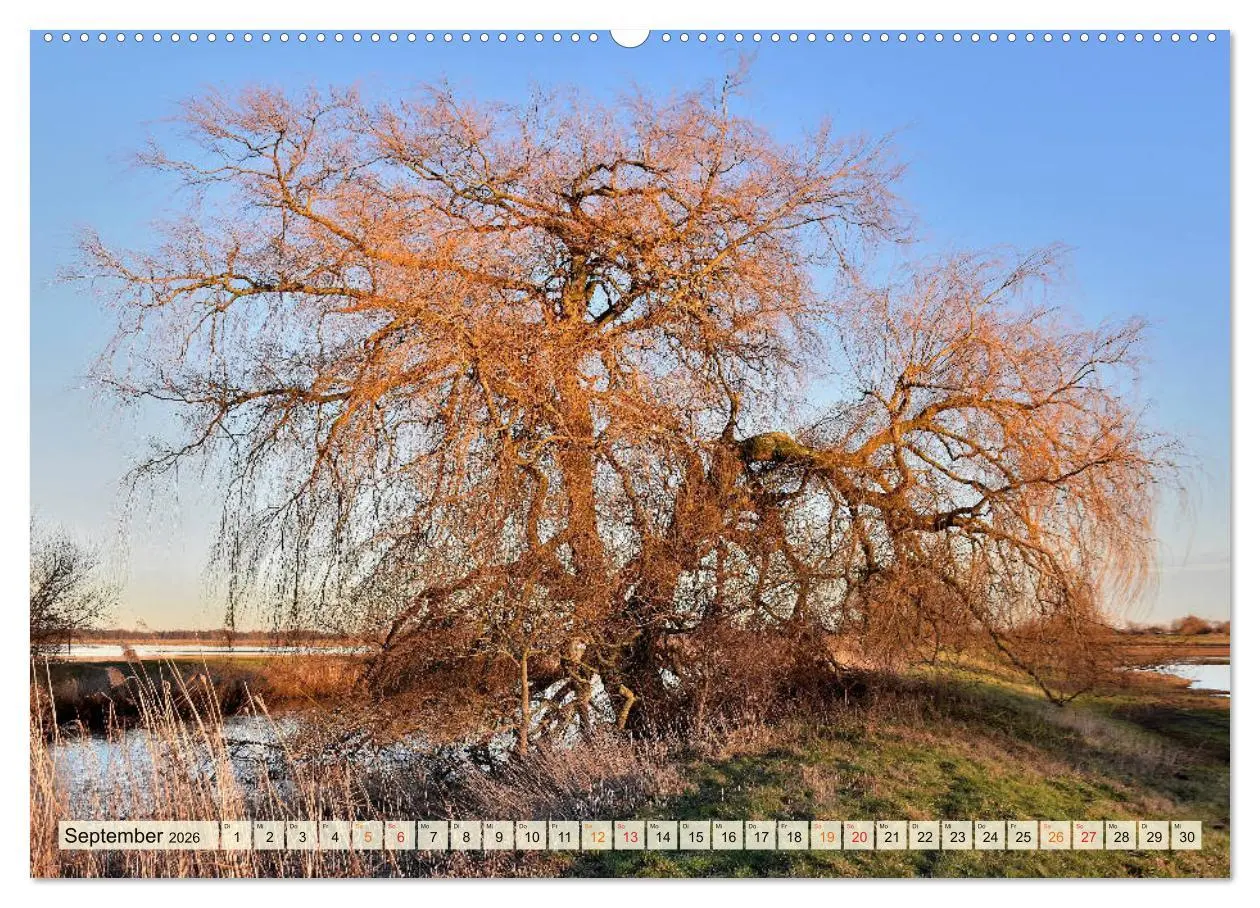 Bild: 9783457671733 | Landschaft an der Wümme (hochwertiger Premium Wandkalender 2026 DIN...
