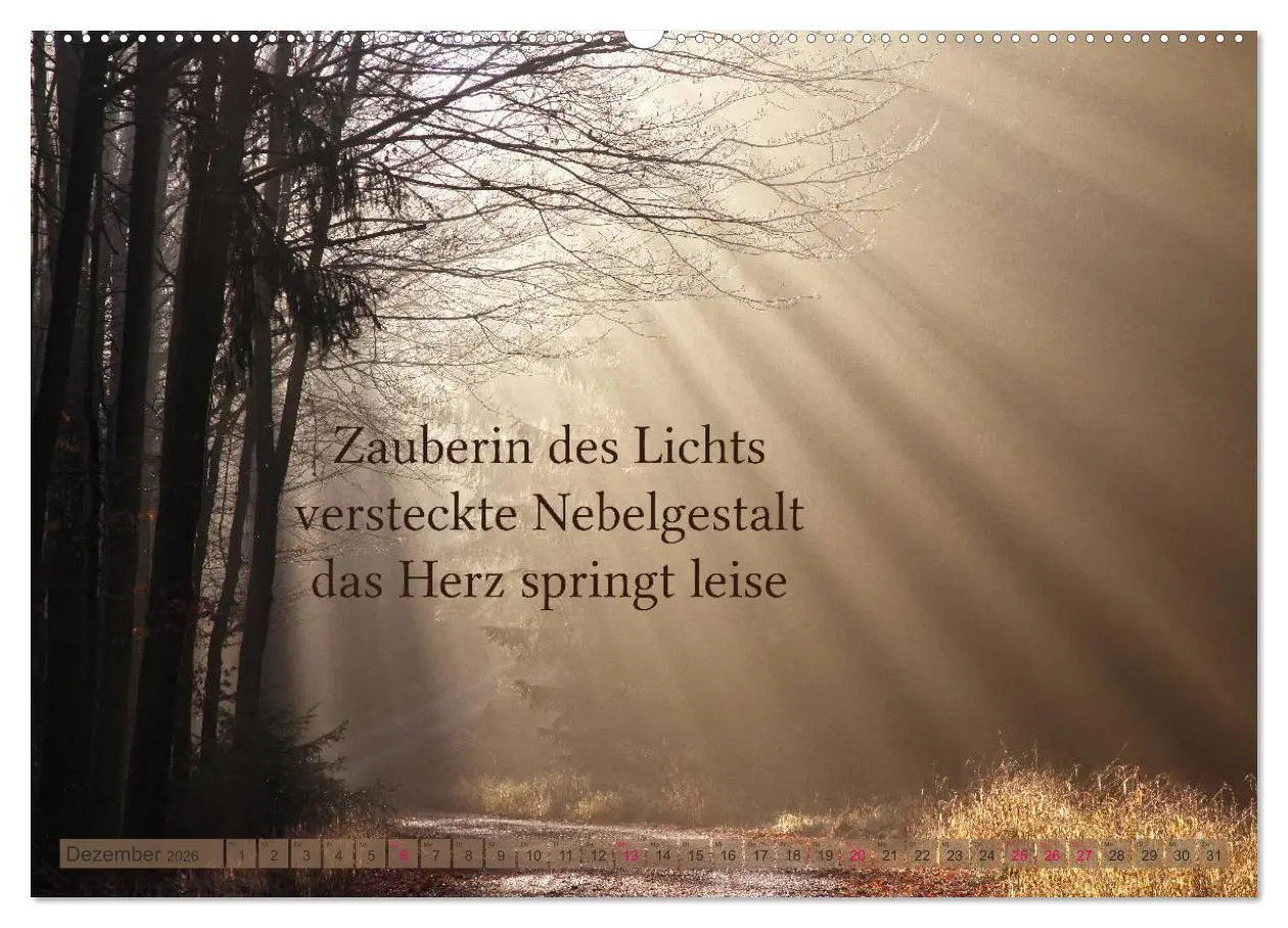 Bild: 9783516141733 | Haiku - Gedichte in 17 Silben (Wandkalender 2026 DIN A2 quer),...