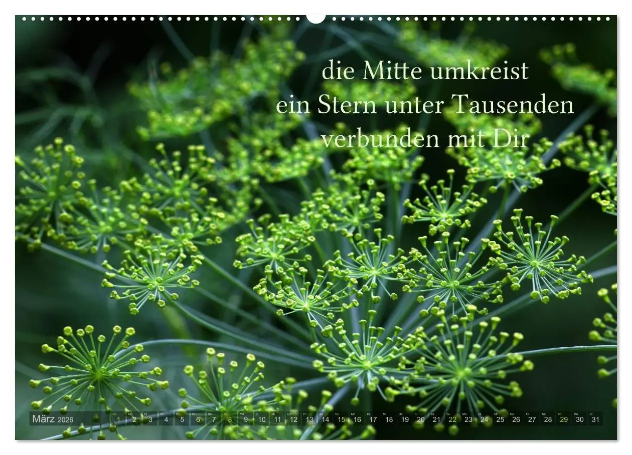 Bild: 9783516141733 | Haiku - Gedichte in 17 Silben (Wandkalender 2026 DIN A2 quer),...