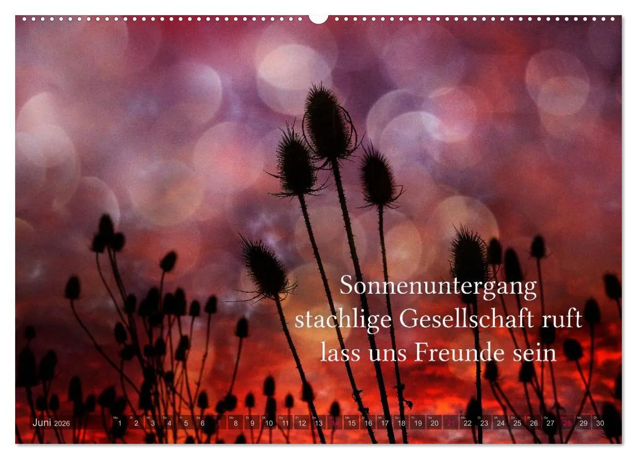 Bild: 9783516141733 | Haiku - Gedichte in 17 Silben (Wandkalender 2026 DIN A2 quer),...