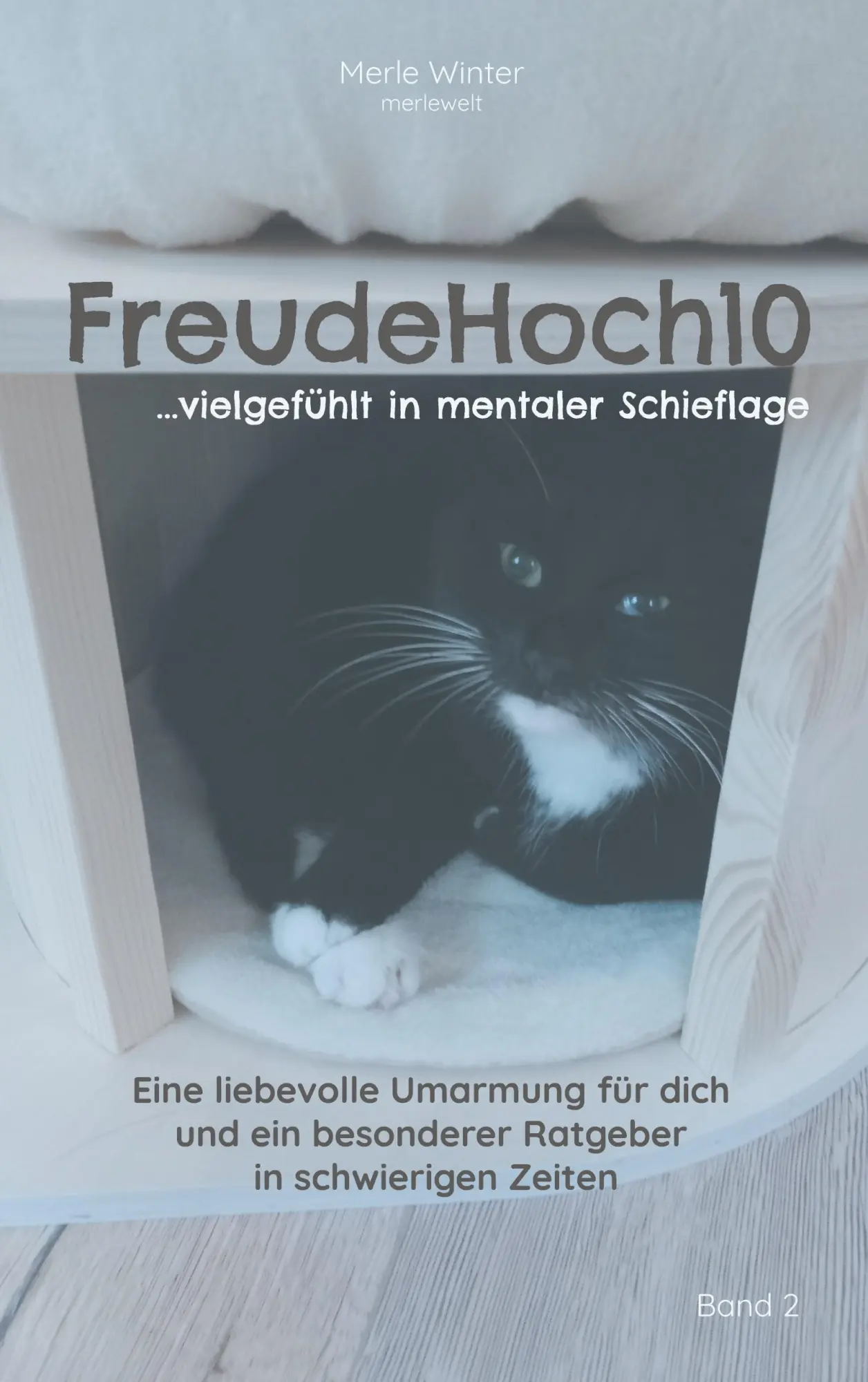 Cover: 9783758321733 | FreudeHoch10 | ...vielgefühlt in mentaler Schieflage | Merle Winter