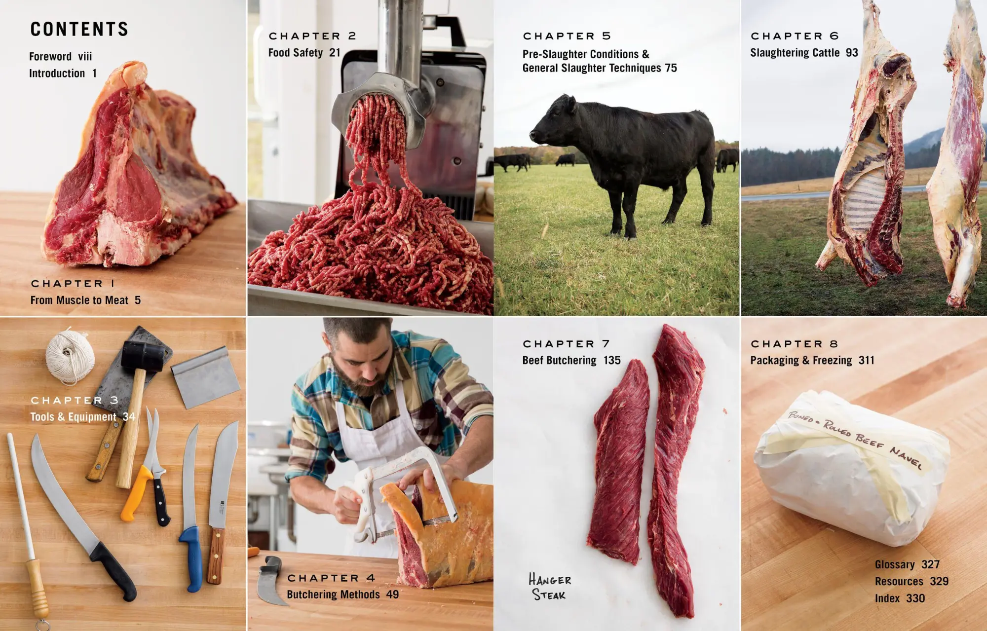 Bild: 9781612121833 | Butchering Beef | Adam Danforth | Taschenbuch | Englisch | 2014