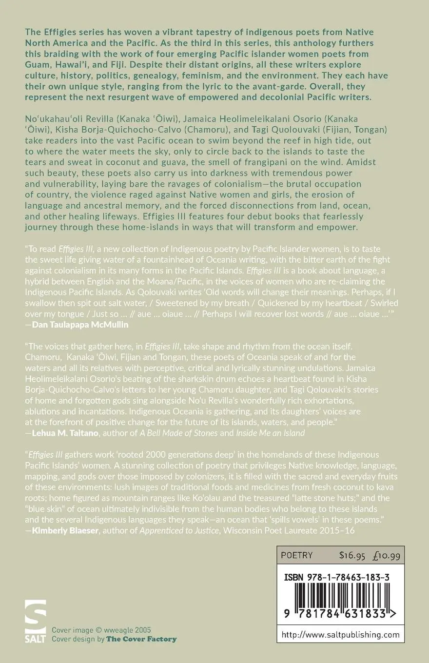 Rückseite: 9781784631833 | Effigies III | Allison Adelle Hedge Coke (u. a.) | Taschenbuch | 2019