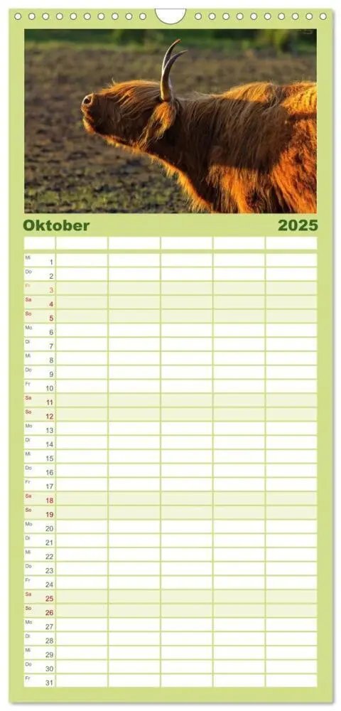 Bild: 9783457111833 | Familienplaner 2025 - Schottische Hochlandrinder. Freundlich, schön...