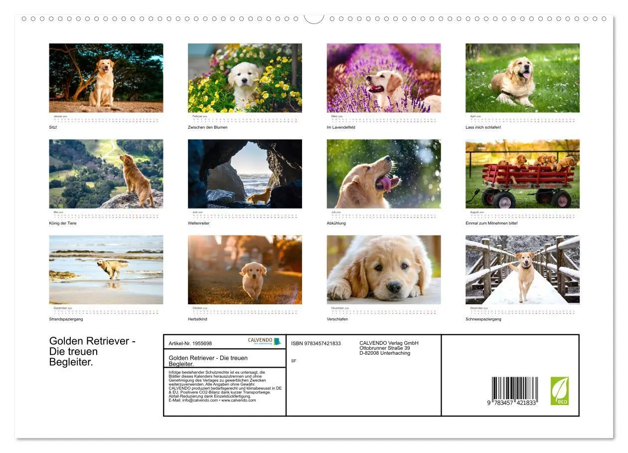 Bild: 9783457421833 | Golden Retriever - Die treuen Begleiter. (hochwertiger Premium...