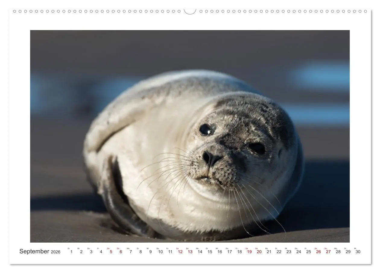 Bild: 9783457731833 | Dänemark - Phototravellers Sehnsuchtskalender (hochwertiger Premium...