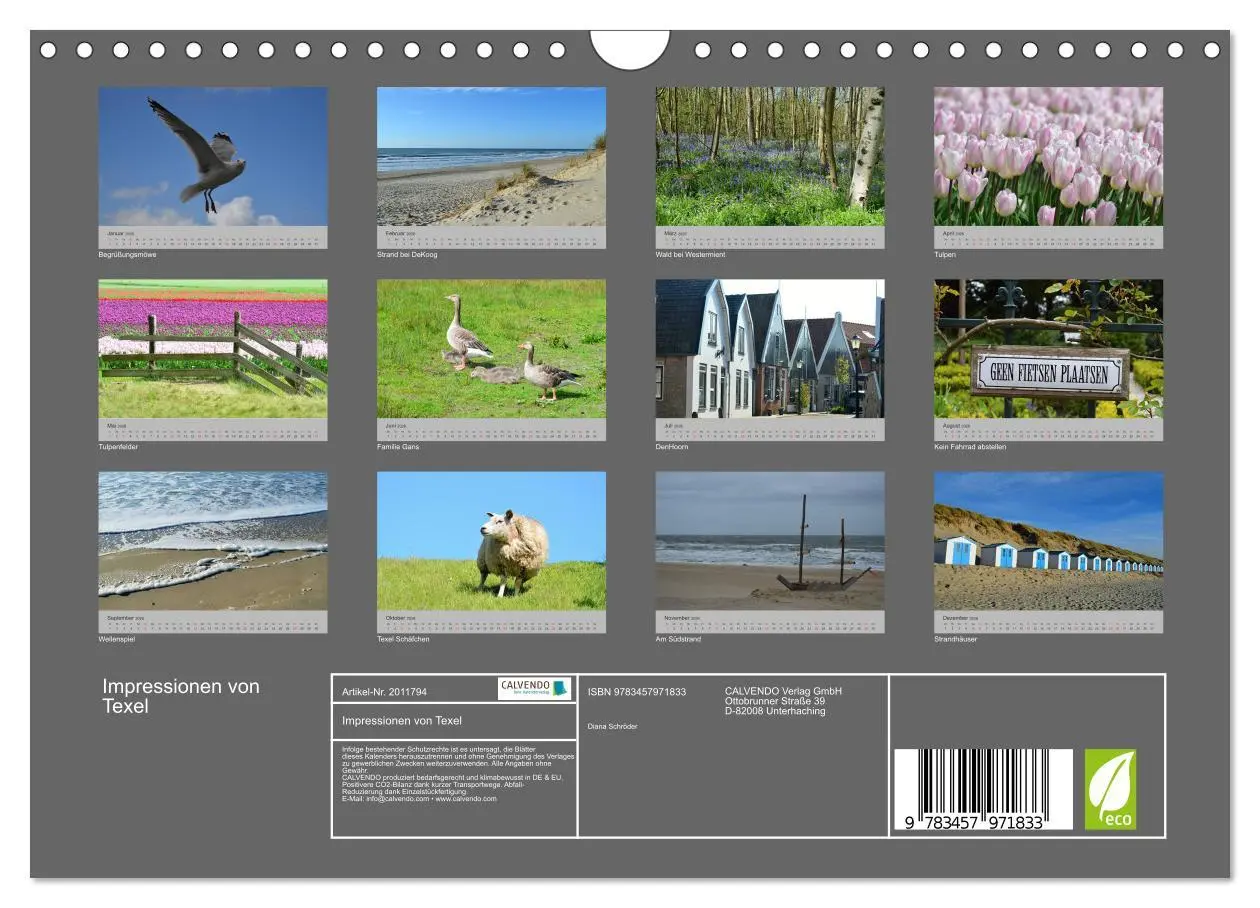 Bild: 9783457971833 | Impressionen von Texel (Wandkalender 2026 DIN A4 quer), CALVENDO...