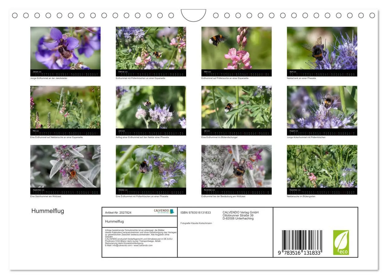 Bild: 9783516131833 | Hummelflug (Wandkalender 2026 DIN A4 quer), CALVENDO Monatskalender