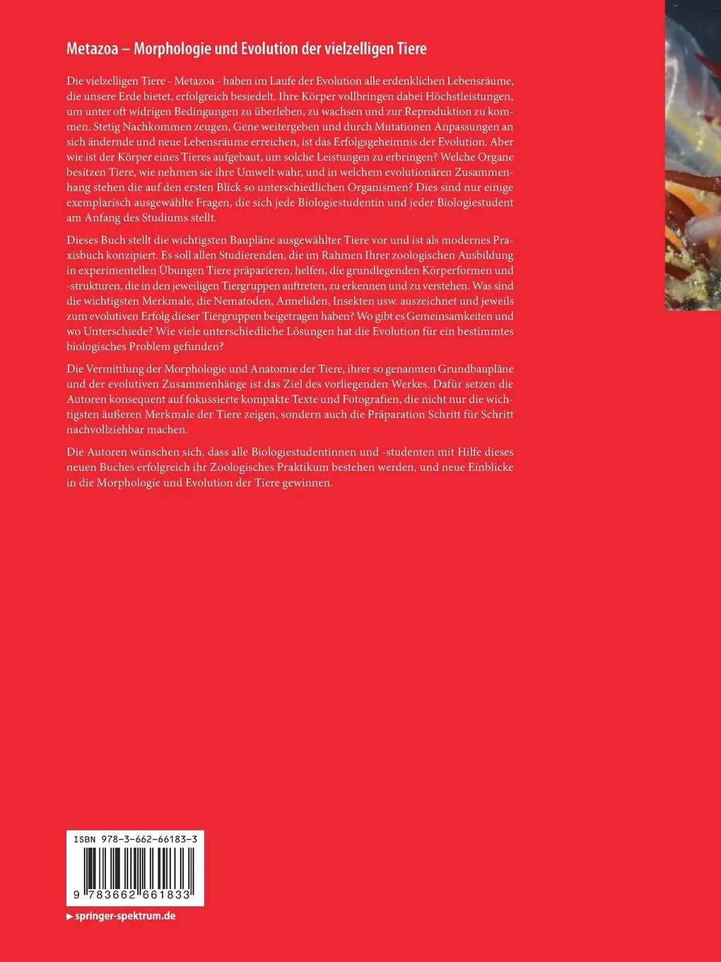 Rückseite: 9783662661833 | Metazoa - Morphologie und Evolution der vielzelligen Tiere | Buch