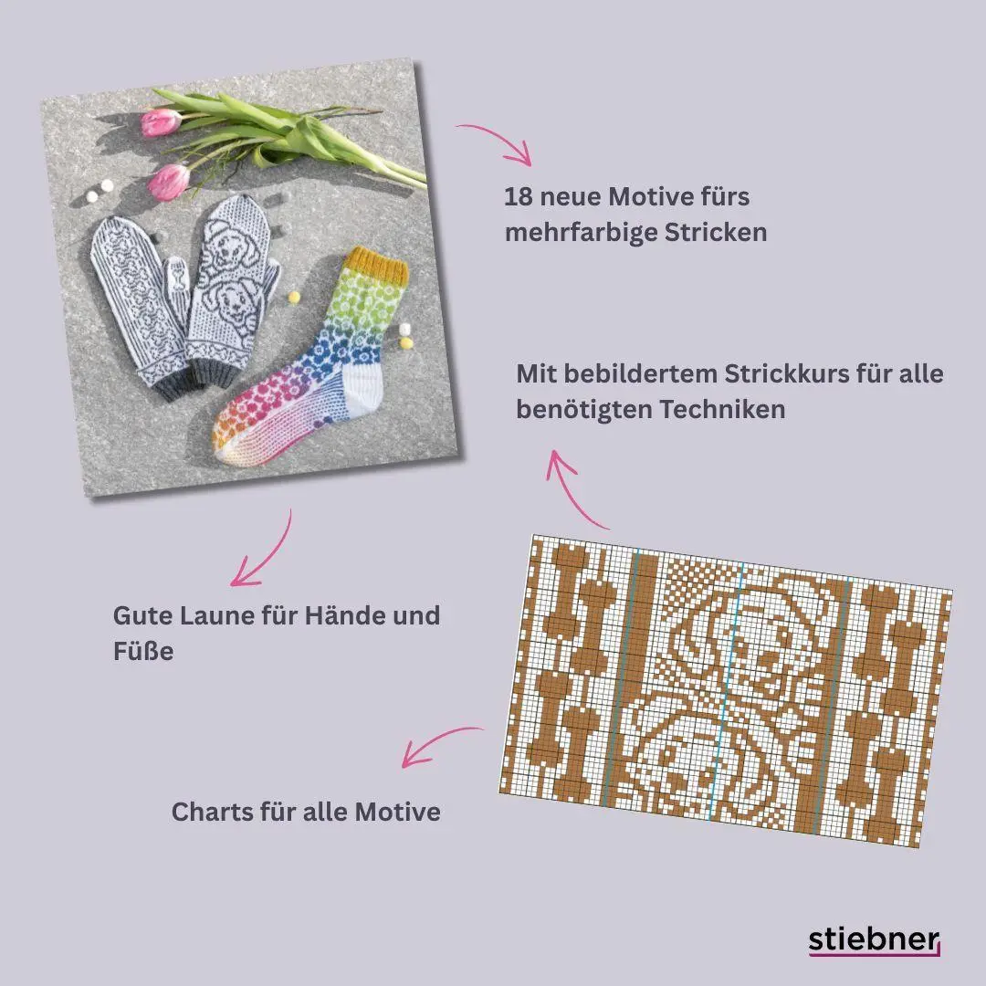 Bild: 9783830721833 | Noch mehr bunte Socken und witzige Handschuhe | Andrea Hoedt-Konken