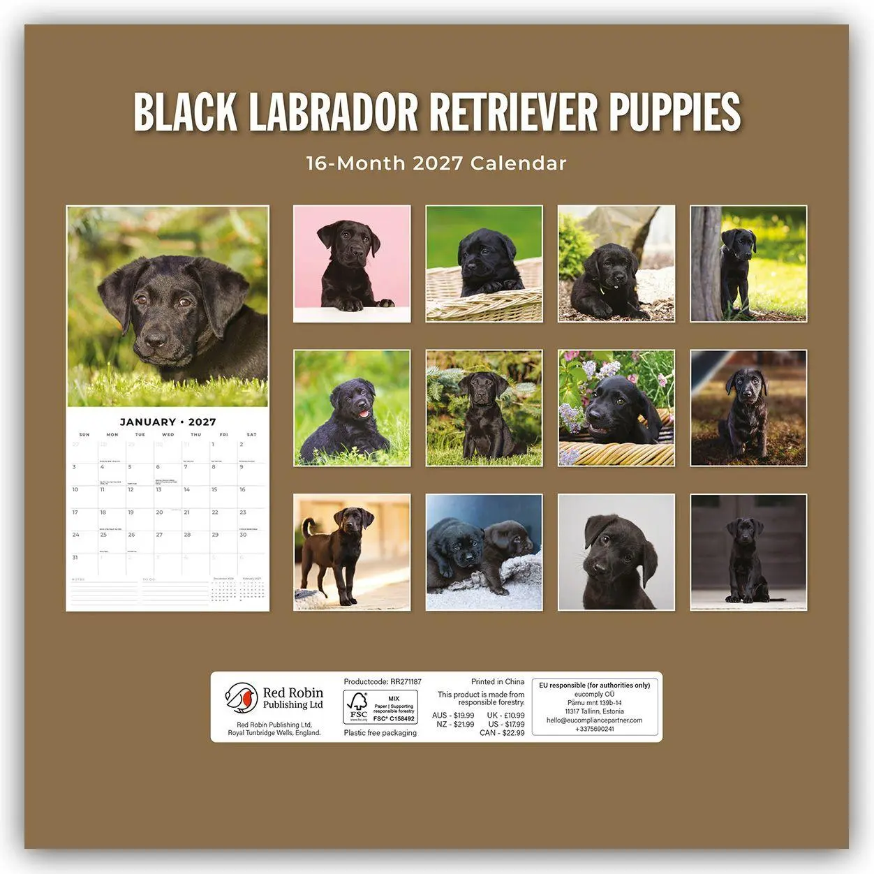 Rückseite: 9781837011933 | Black Labrador Retriever Puppies - Schwarze Labrador Retriever...