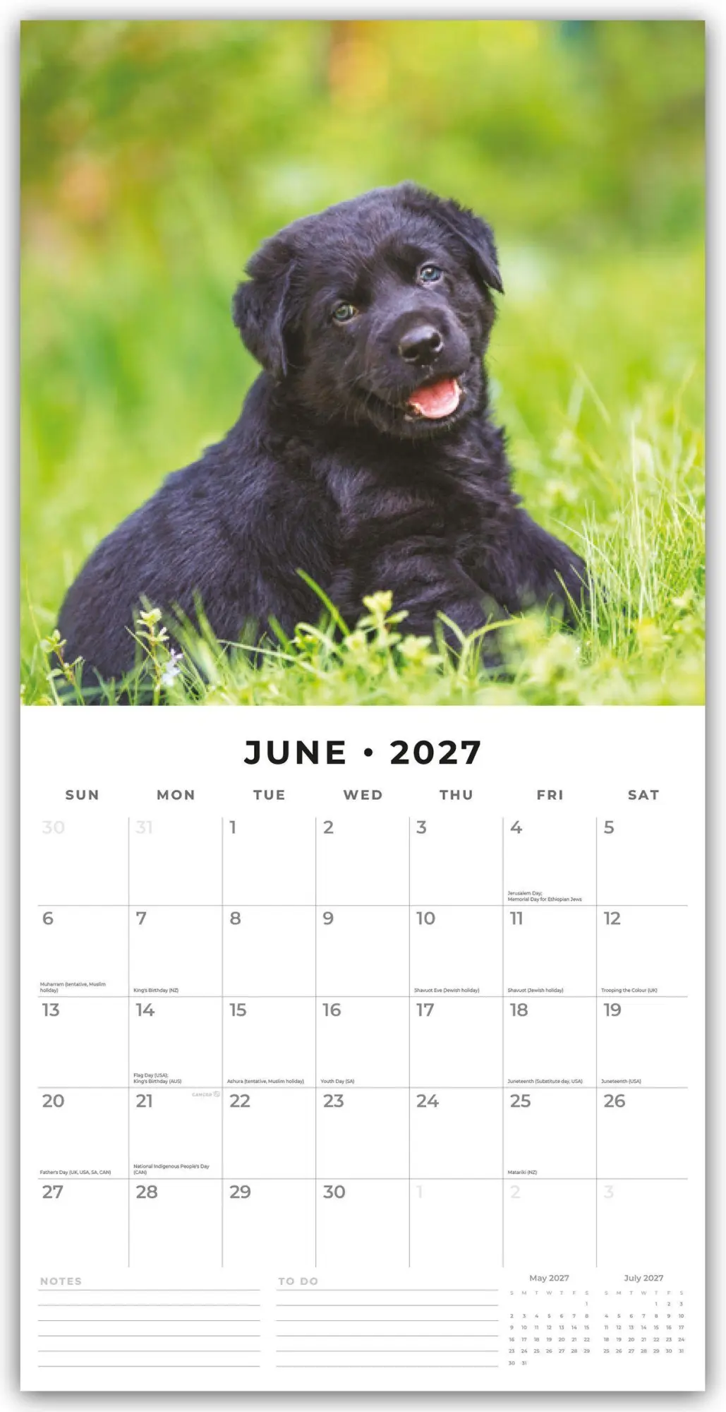 Bild: 9781837011933 | Black Labrador Retriever Puppies - Schwarze Labrador Retriever...