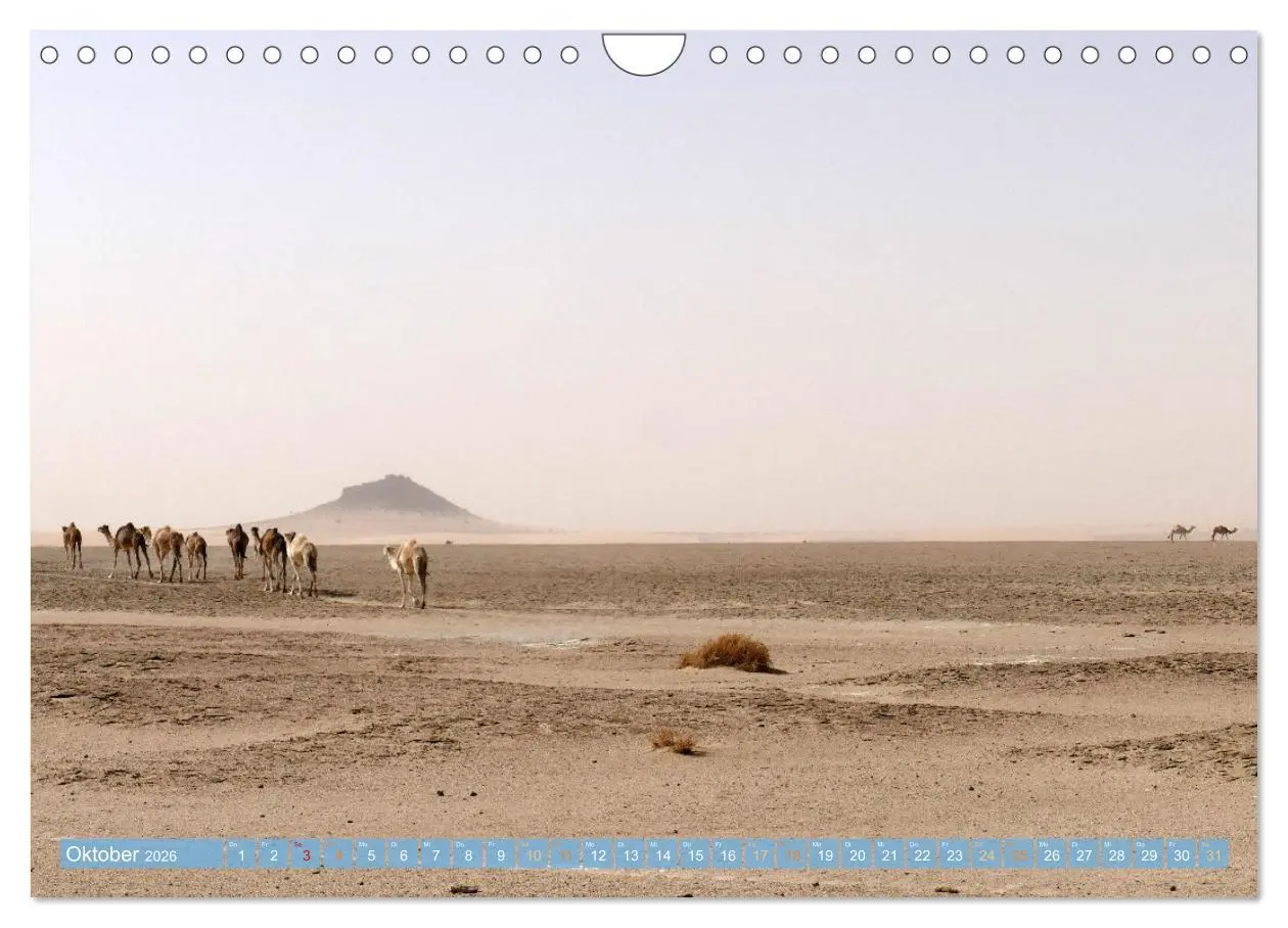 Bild: 9783457961933 | Sehnsucht Sahara (Wandkalender 2026 DIN A4 quer), CALVENDO...