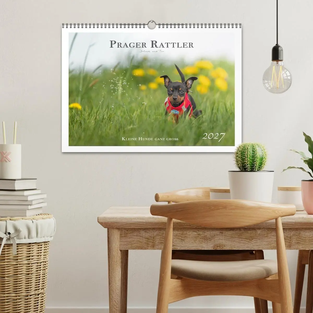 Bild: 9783569521933 | Prager Rattler - Black and Tan - Kleine Hunde ganz groß...