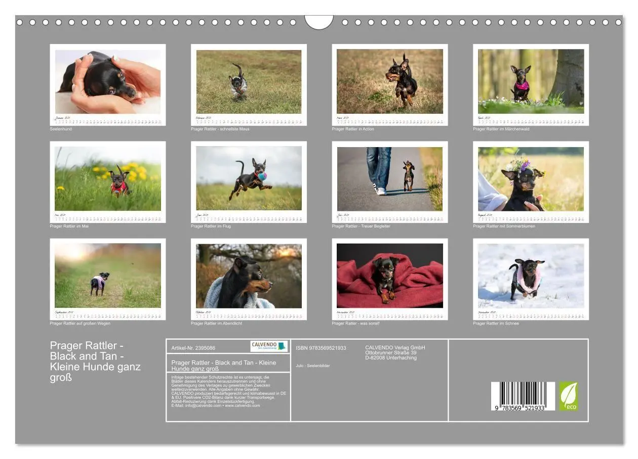 Bild: 9783569521933 | Prager Rattler - Black and Tan - Kleine Hunde ganz groß...