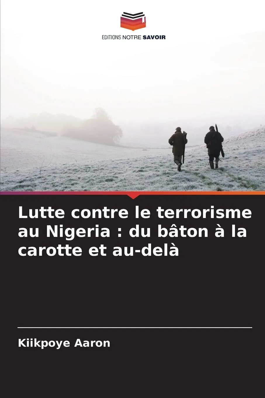 Lutte contre le terrorisme au Nigeria : du bâton à la carotte et au-delà