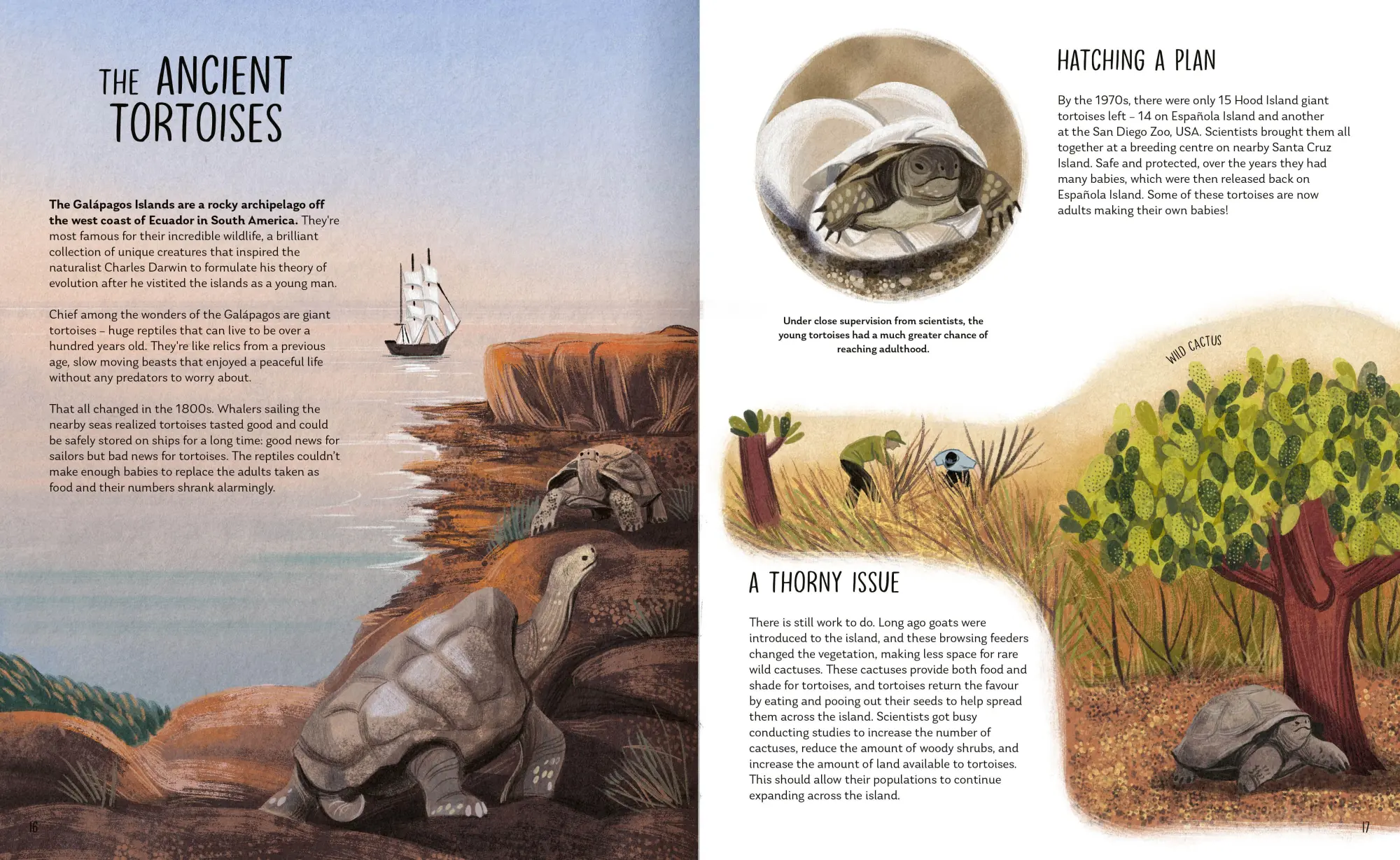 Bild: 9781838992033 | Rewilding | Bringing Wildlife Back Where It Belongs | Steen (u. a.)
