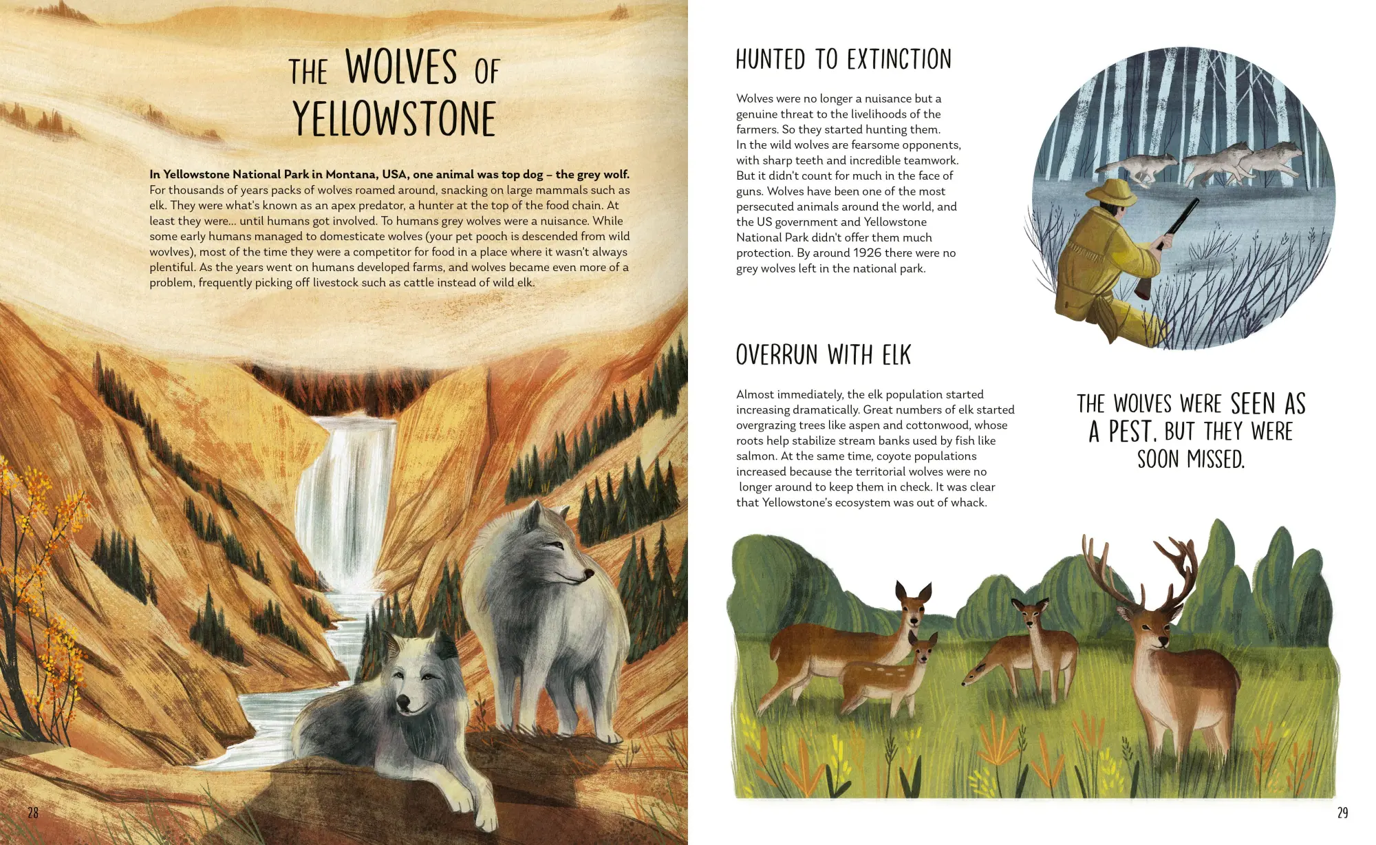 Bild: 9781838992033 | Rewilding | Bringing Wildlife Back Where It Belongs | Steen (u. a.)