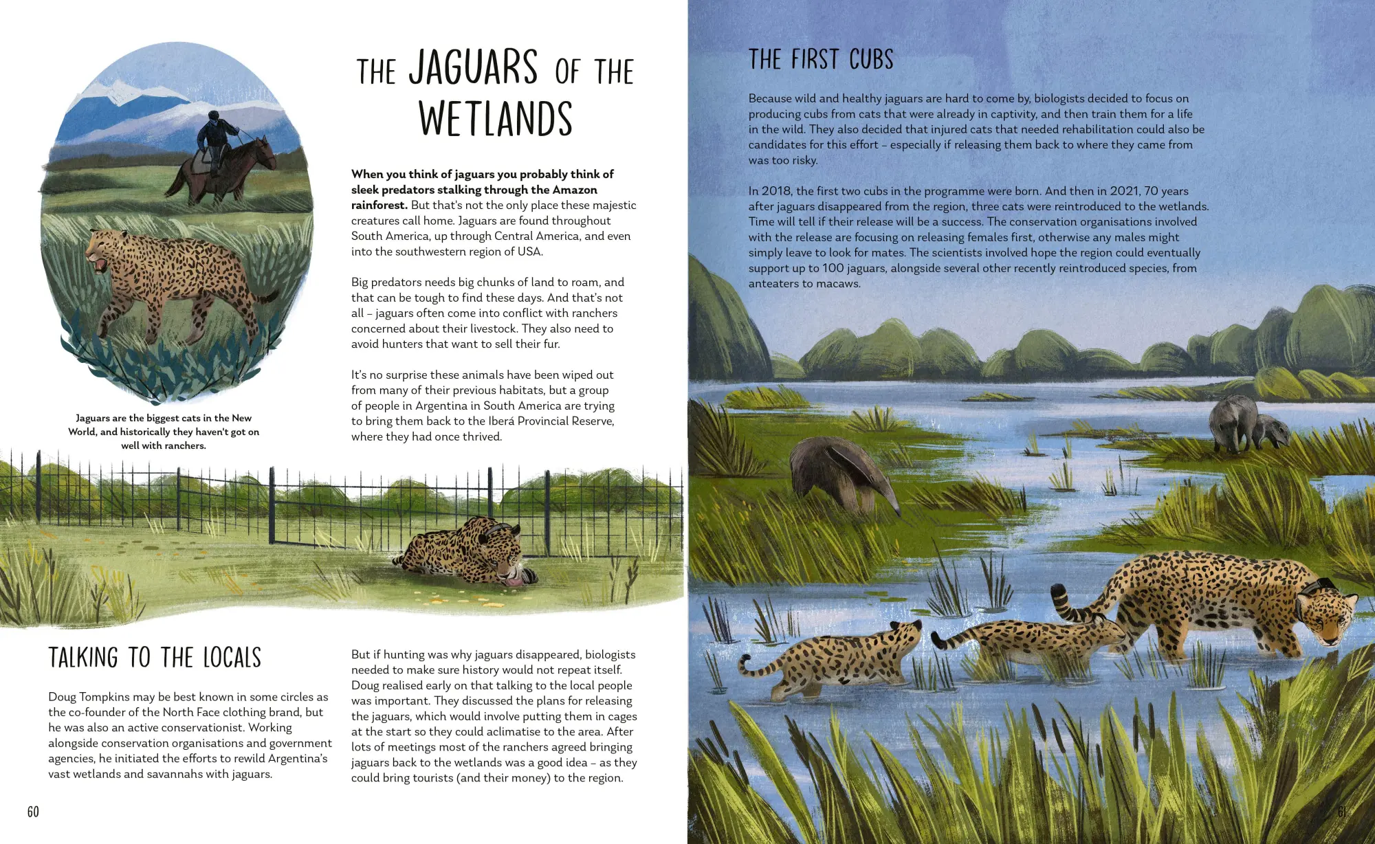 Bild: 9781838992033 | Rewilding | Bringing Wildlife Back Where It Belongs | Steen (u. a.)