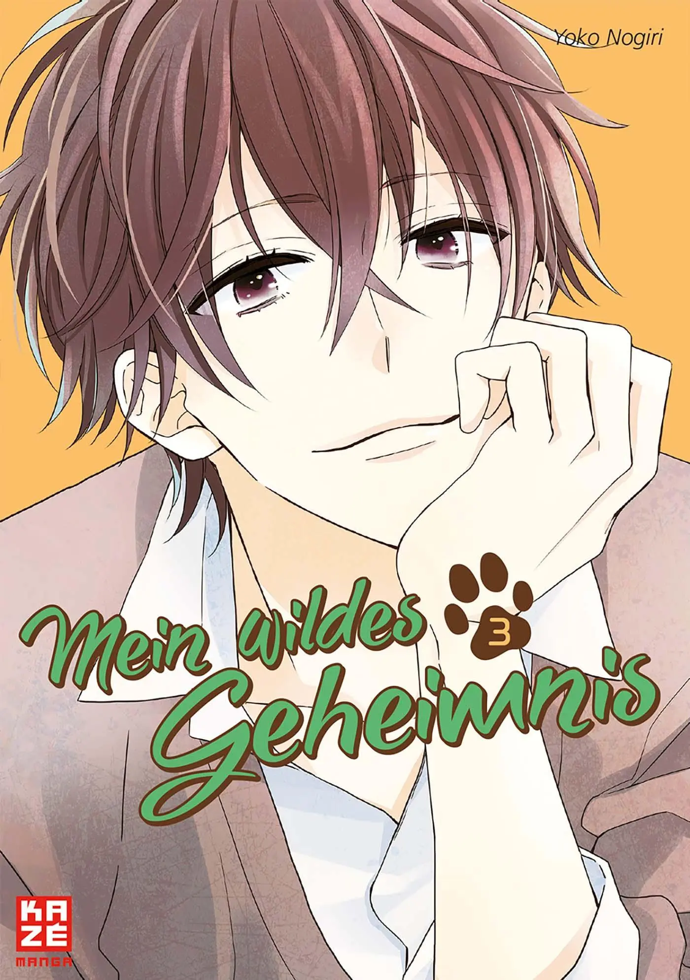 Cover: 9782889212033 | Mein wildes Geheimnis 03 | Yoko Nogiri | Taschenbuch | 170 S. | 2018