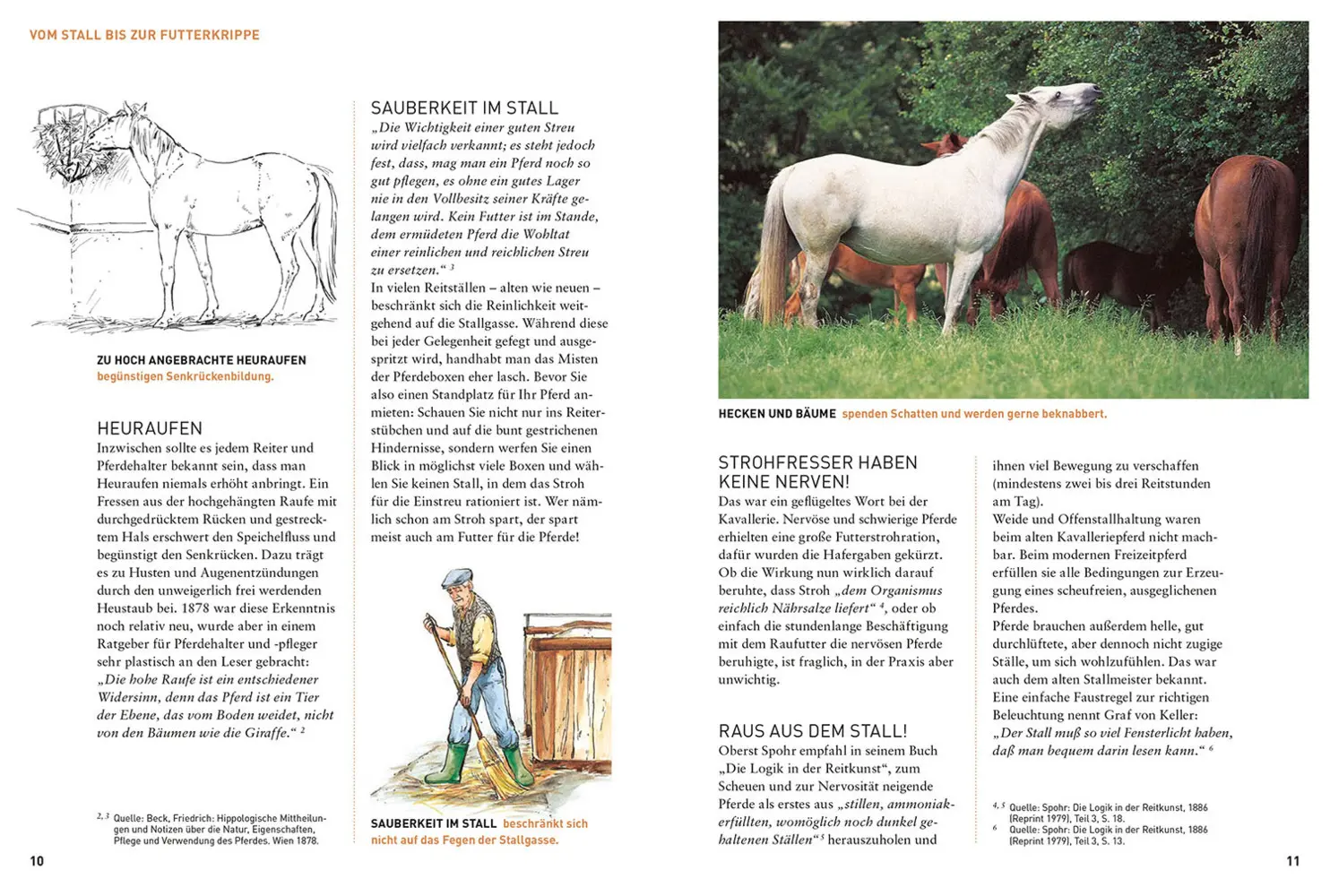 Bild: 9783440162033 | Was der Stallmeister noch wusste | Christiane Gohl | Taschenbuch