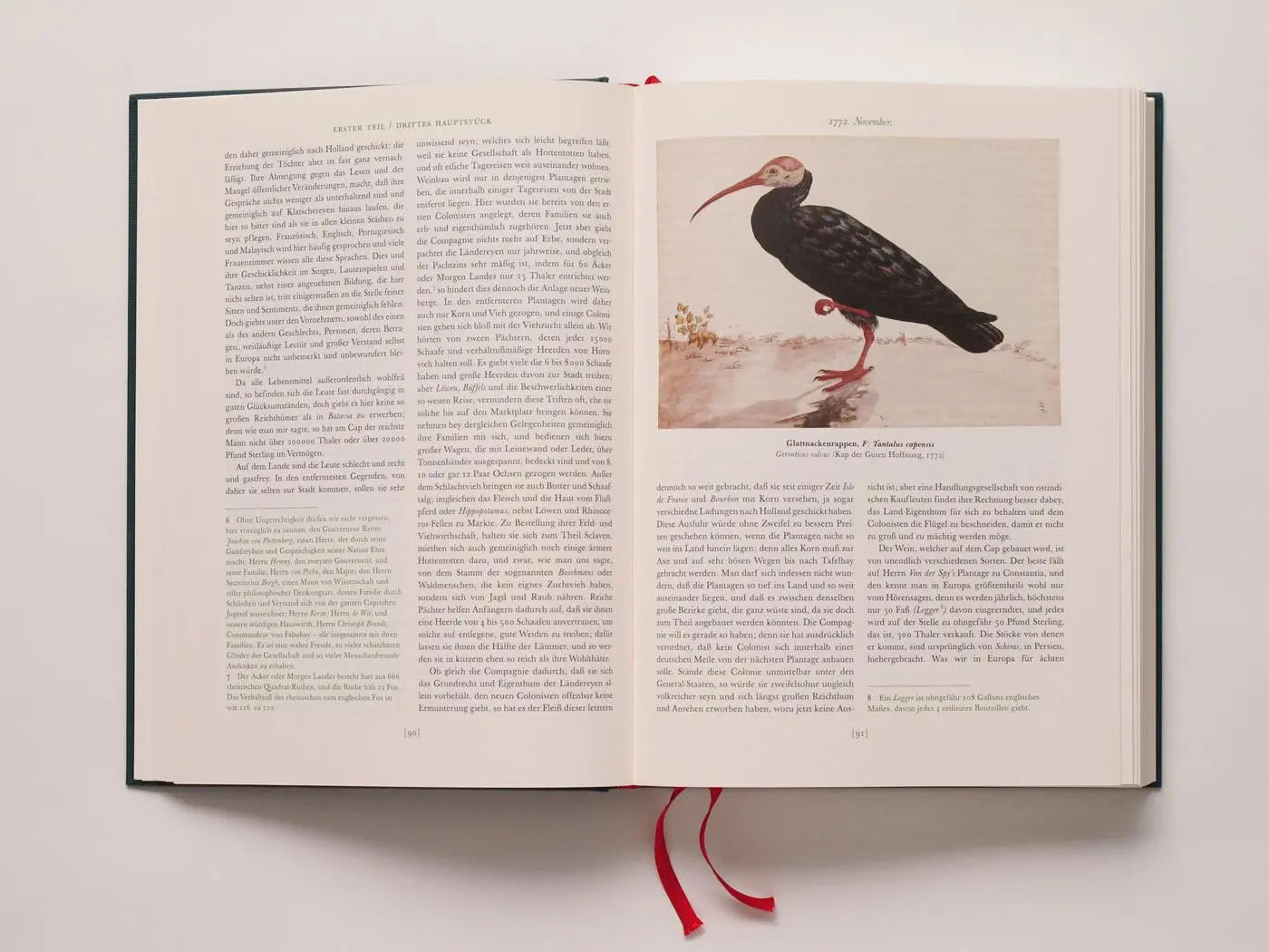Bild: 9783821862033 | Reise um die Welt | Illustriert von eigener Hand | Georg Forster