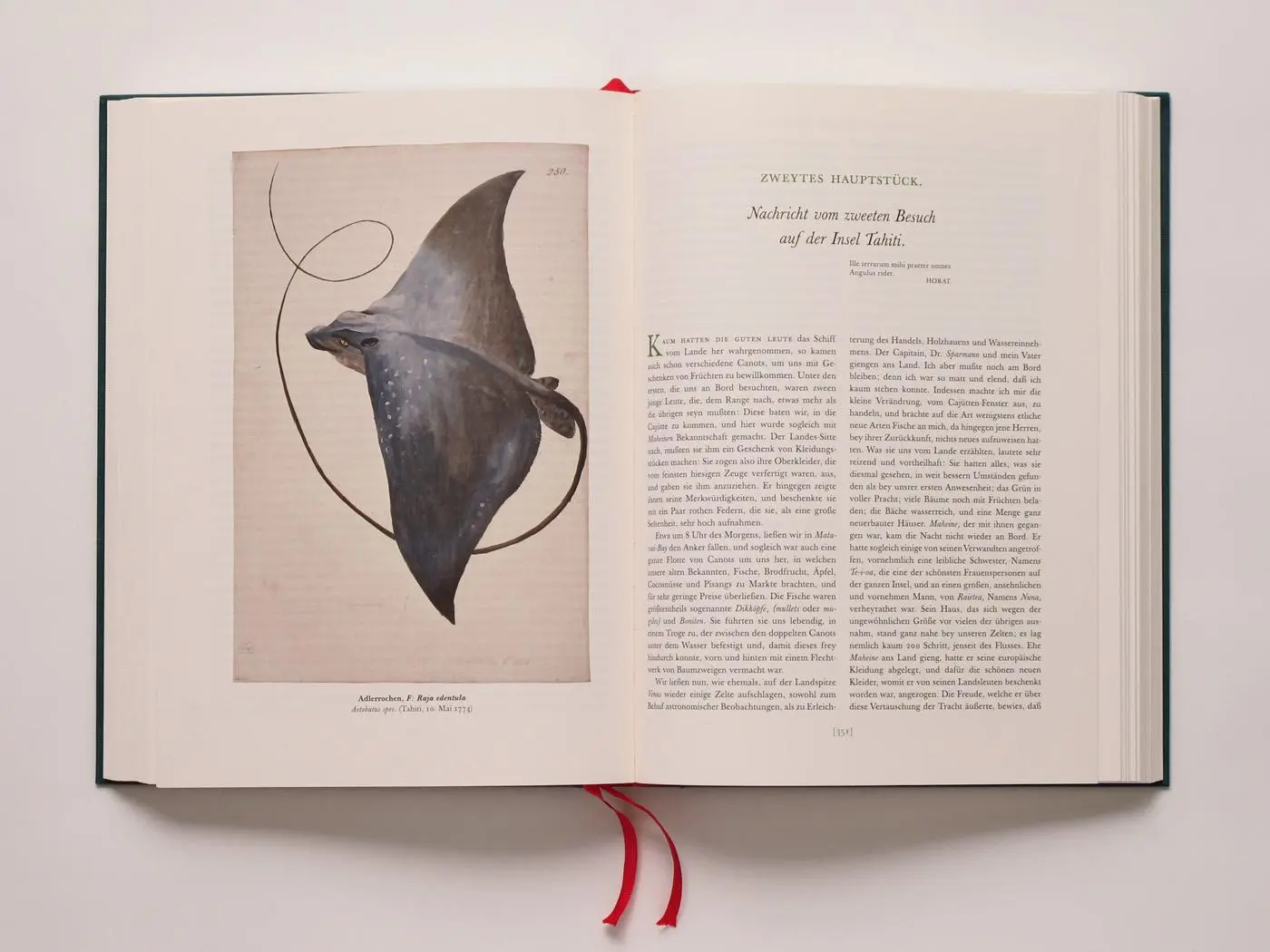 Bild: 9783821862033 | Reise um die Welt | Illustriert von eigener Hand | Georg Forster