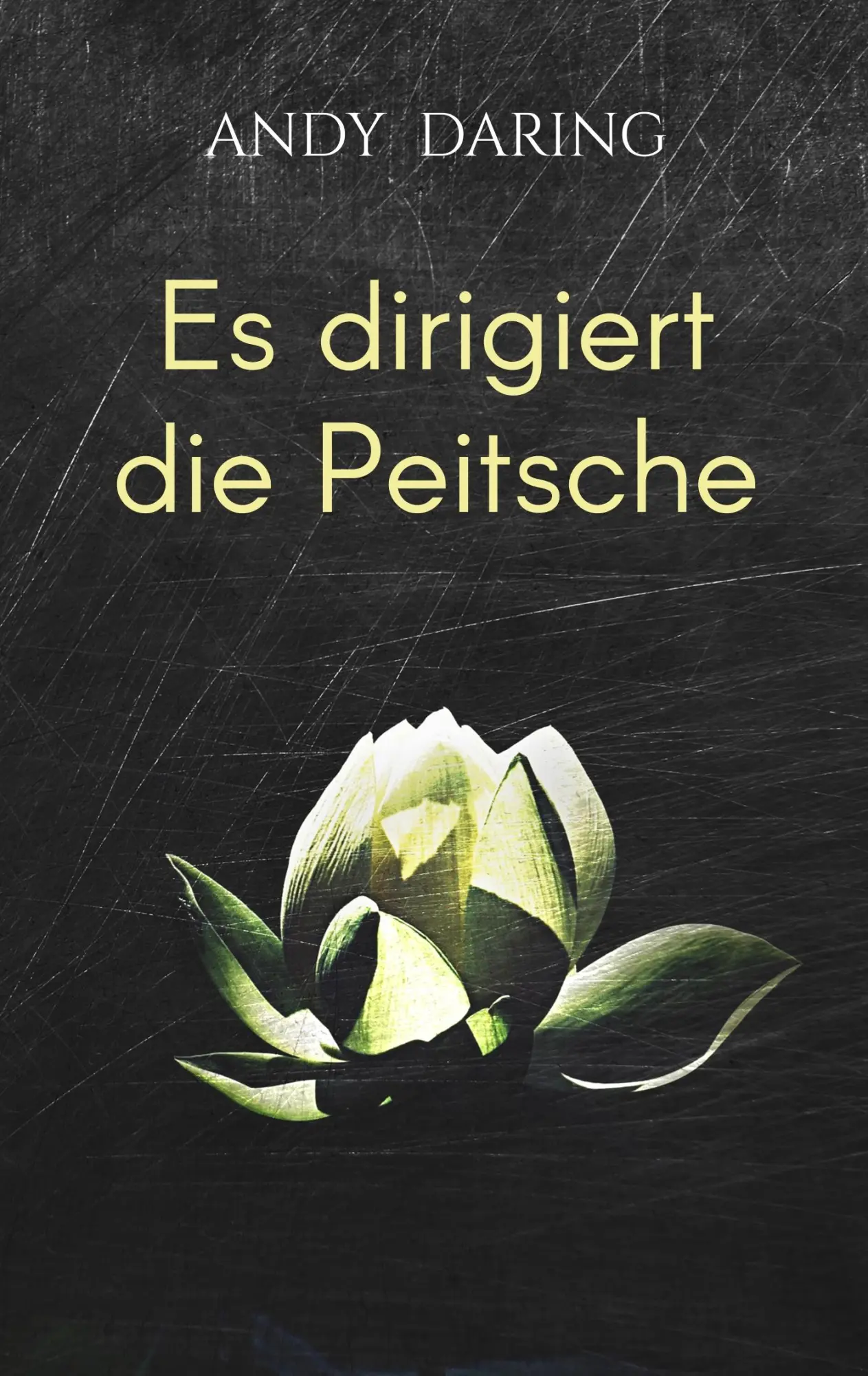 Cover: 9783746092133 | Es dirigiert die Peitsche | Bitter-süße SM-Poesie | Andy Daring | Buch