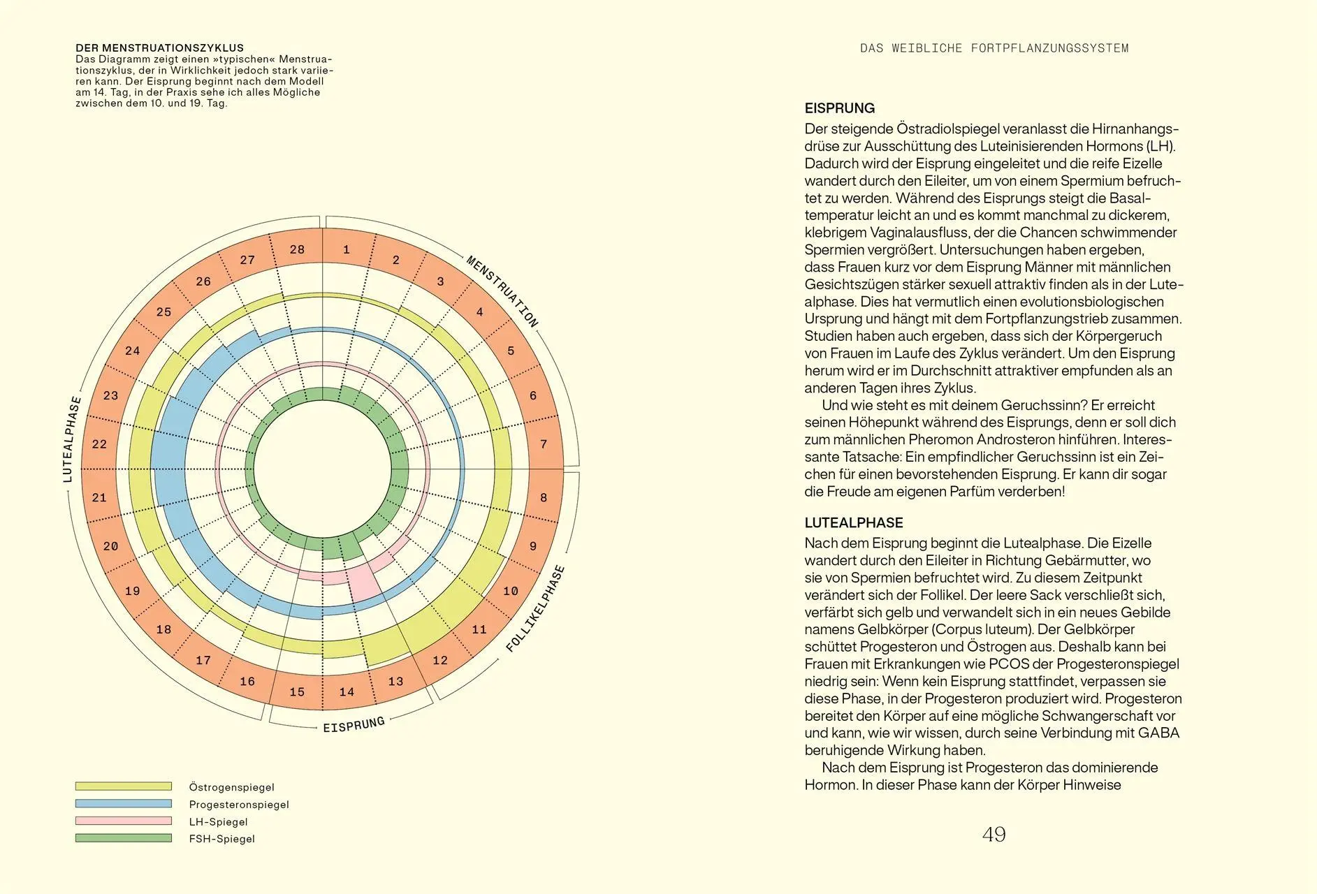 Bild: 9783831052233 | Alles, was du über Hormone wissen musst | Hannah Alderson | Buch