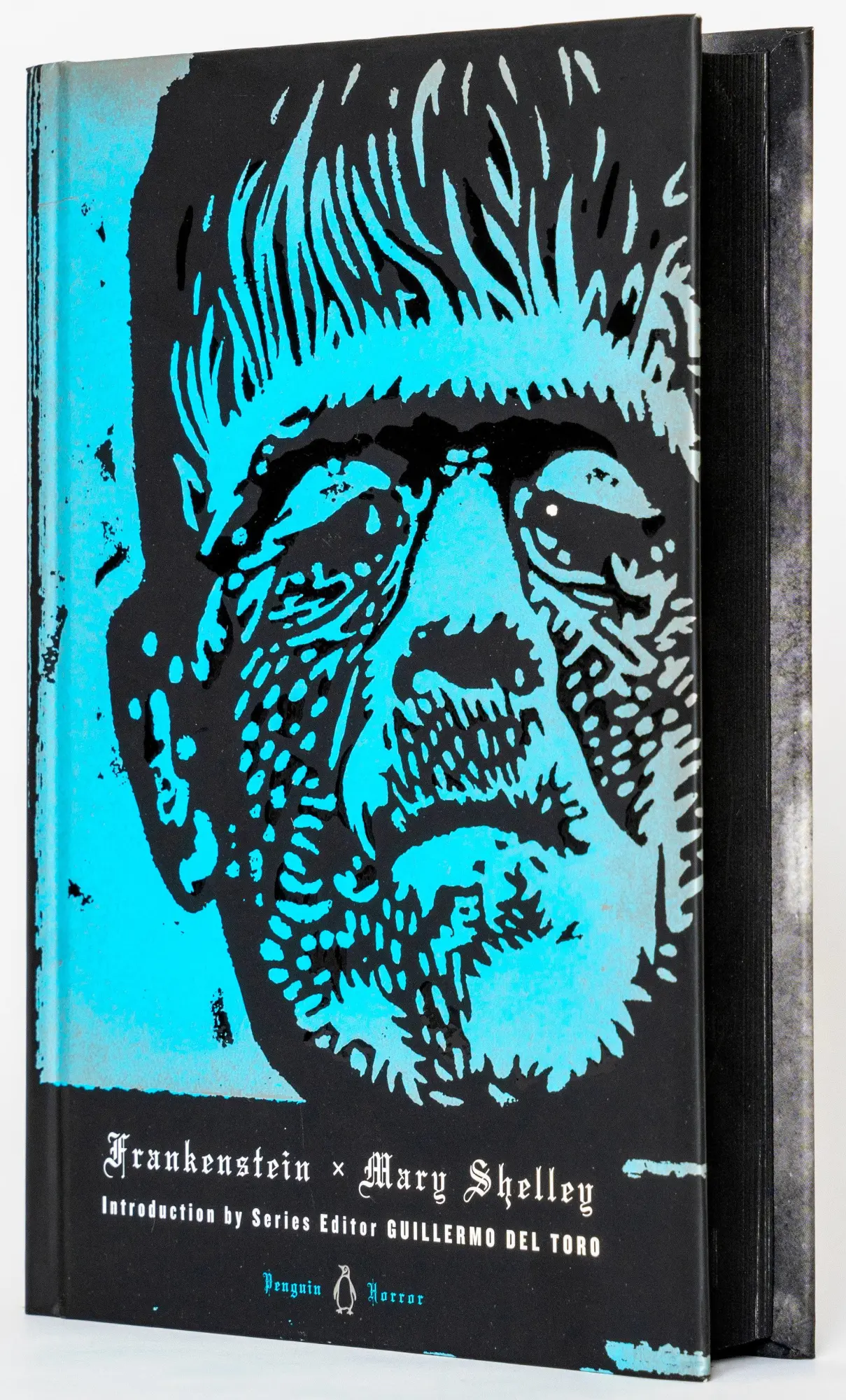 Cover: 9780143122333 | Frankenstein | Mary Shelley | Buch | Einband - fest (Hardcover) | 2013