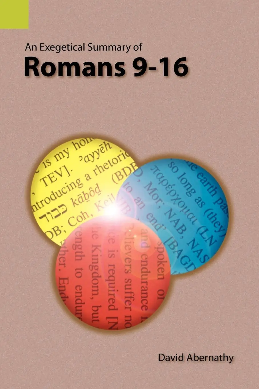Cover: 9781556712333 | An Exegetical Summary of Romans 9-16 | C. David Abernathy (u. a.)