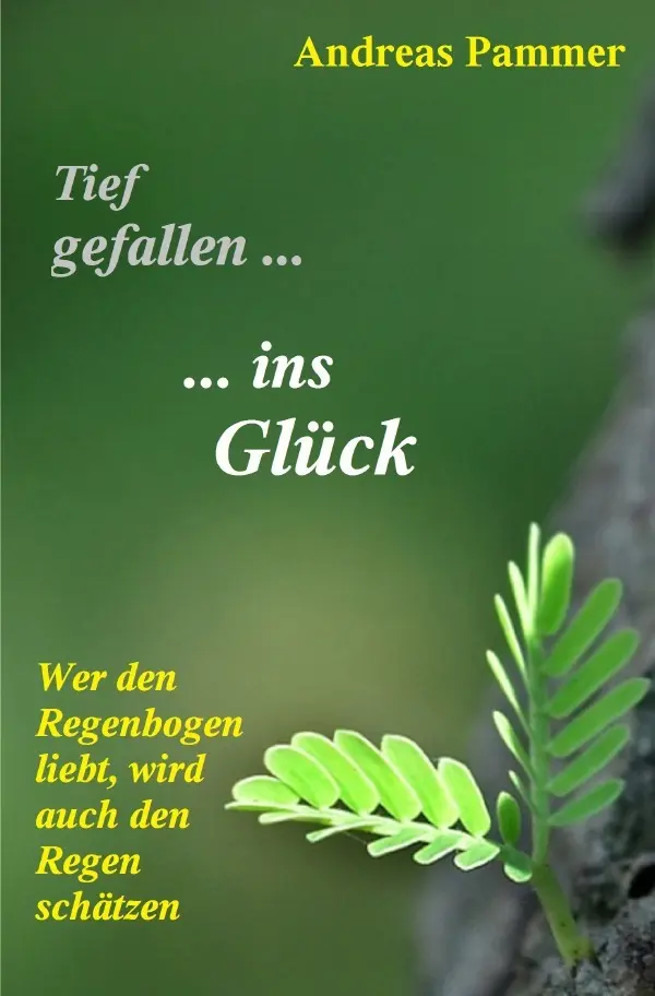 Cover: 9783742702333 | Tief gefallen... ...ins Glück | Andreas Pammer | Taschenbuch | 416 S.