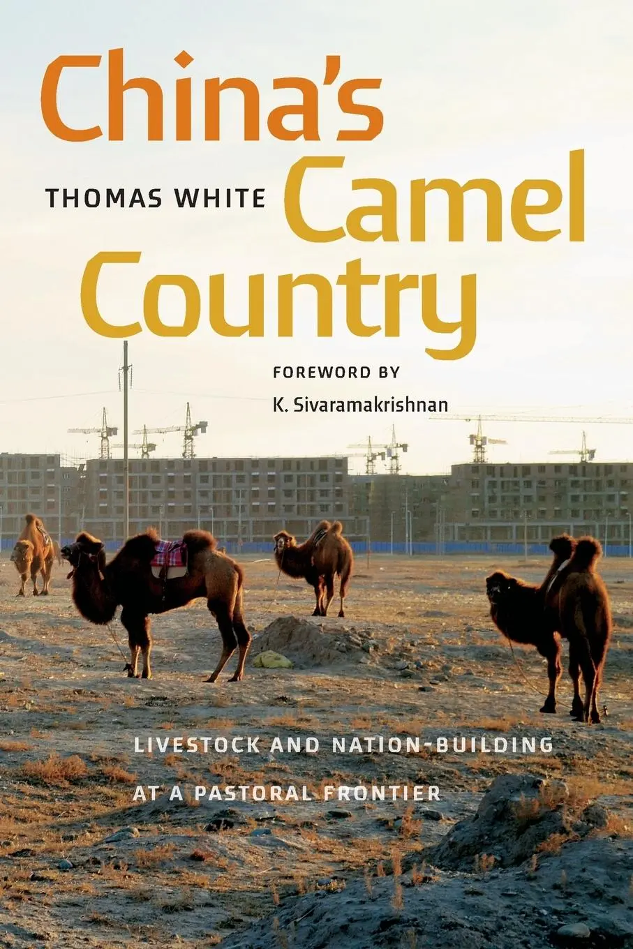 Cover: 9780295752433 | China's Camel Country | Thomas White | Taschenbuch | Englisch | 2024