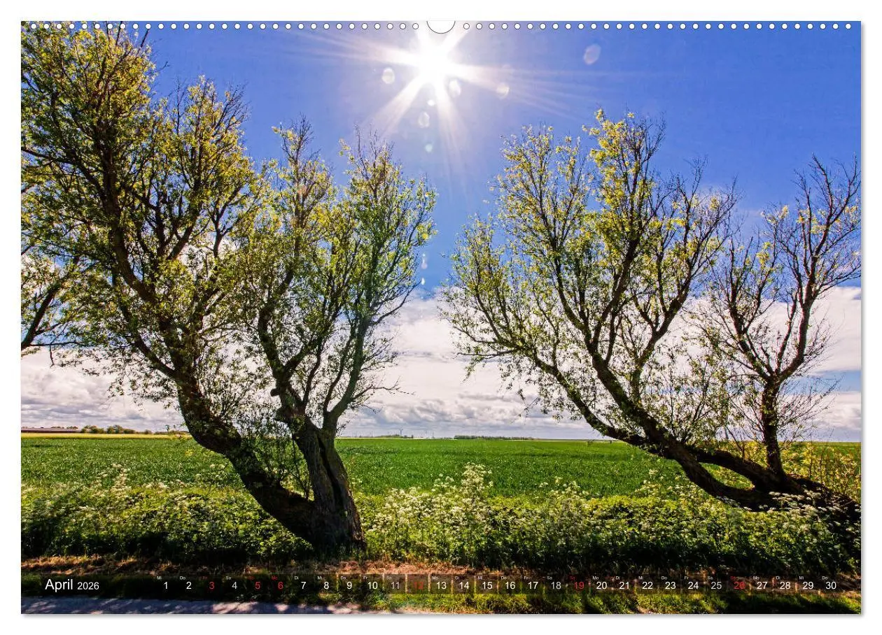 Bild: 9783457672433 | OSTFRIESLAND-LIEBE (hochwertiger Premium Wandkalender 2026 DIN A2...