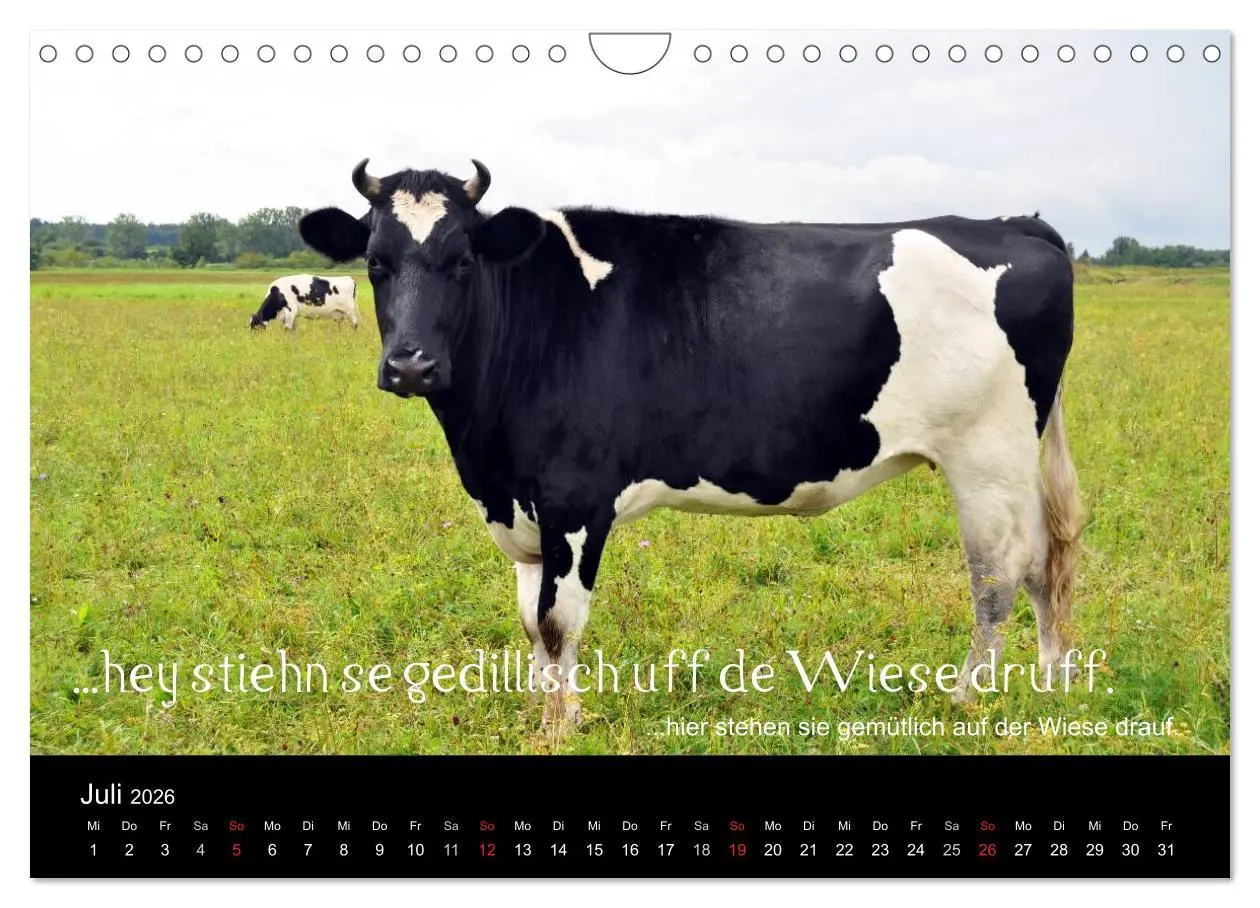 Bild: 9783457982433 | Die Wetterau mit Mundart-Statements (Wandkalender 2026 DIN A4...