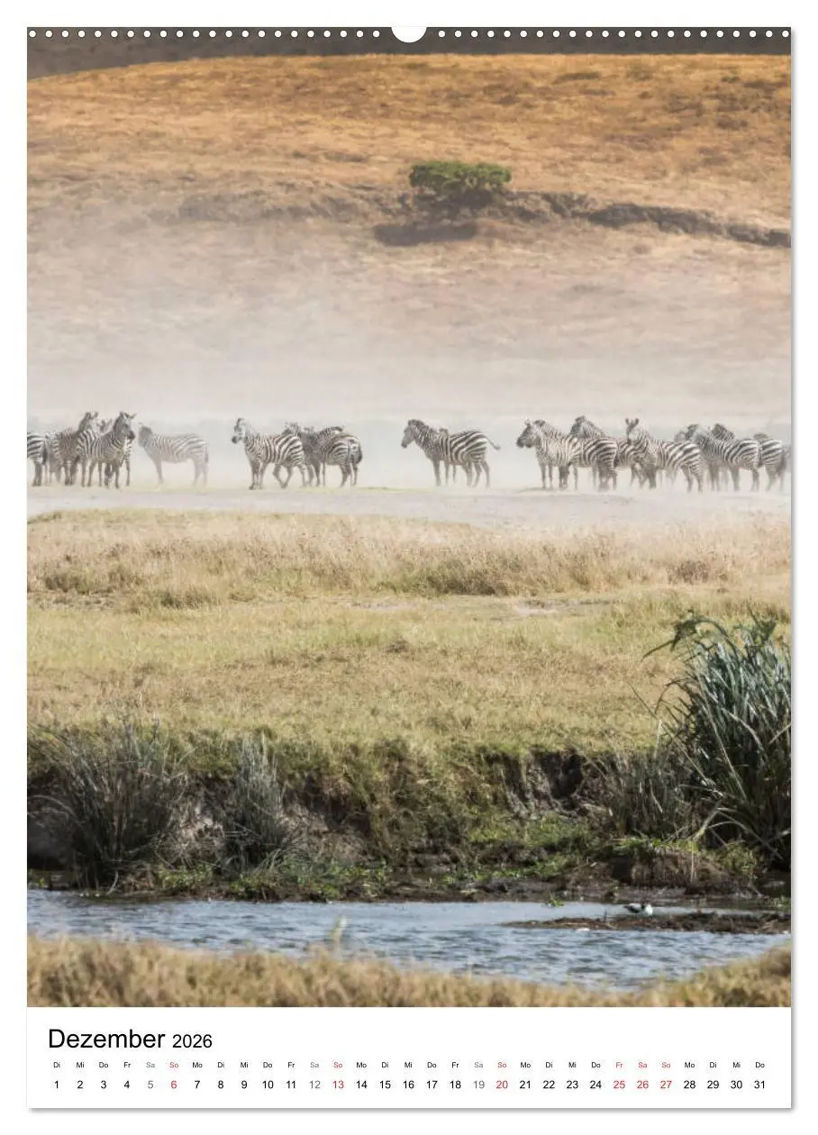Bild: 9783516382433 | Serengeti Pur - Tansania (hochwertiger Premium Wandkalender 2026...