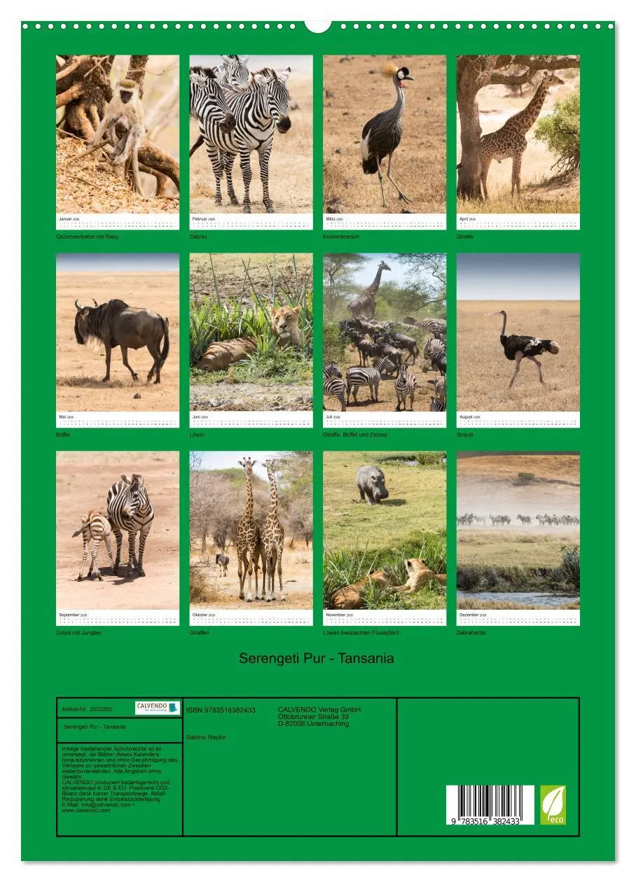 Bild: 9783516382433 | Serengeti Pur - Tansania (hochwertiger Premium Wandkalender 2026...