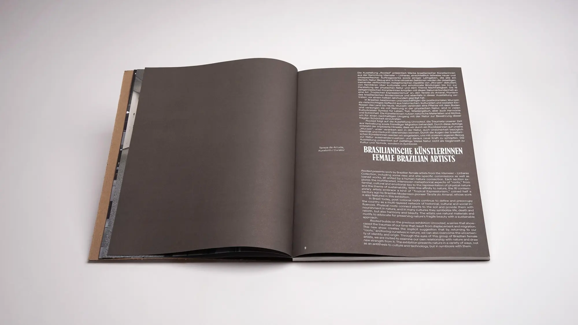 Bild: 9783969122433 | Rooted. Brasilianische Künstlerinnen / Female Brazilian Artists | Buch
