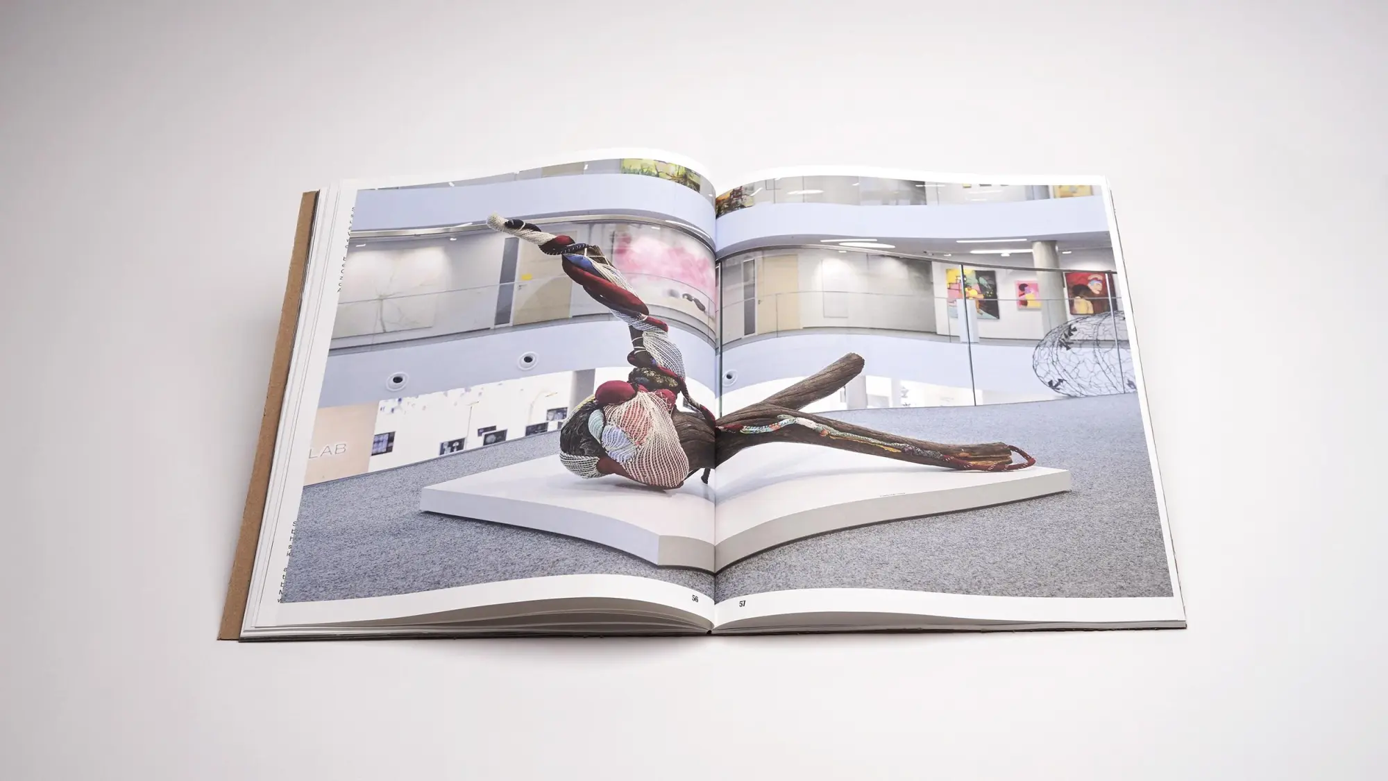 Bild: 9783969122433 | Rooted. Brasilianische Künstlerinnen / Female Brazilian Artists | Buch