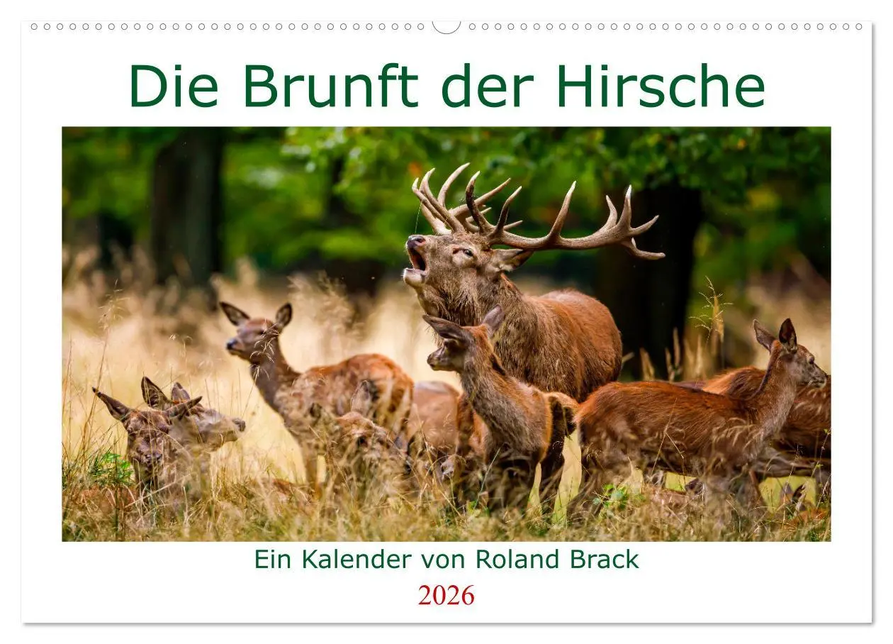 Cover: 9783457662533 | Die Brunft der Hirsche (Wandkalender 2026 DIN A2 quer), CALVENDO...