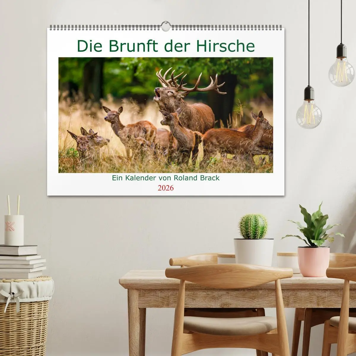 Bild: 9783457662533 | Die Brunft der Hirsche (Wandkalender 2026 DIN A2 quer), CALVENDO...