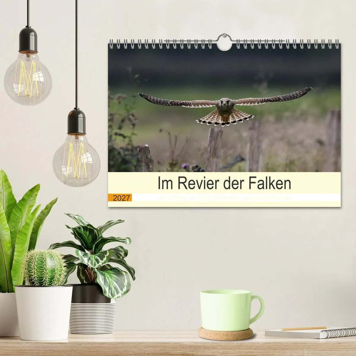 Bild: 9783569462533 | Im Revier der Falken (Wandkalender 2027 DIN A4 quer), CALVENDO...