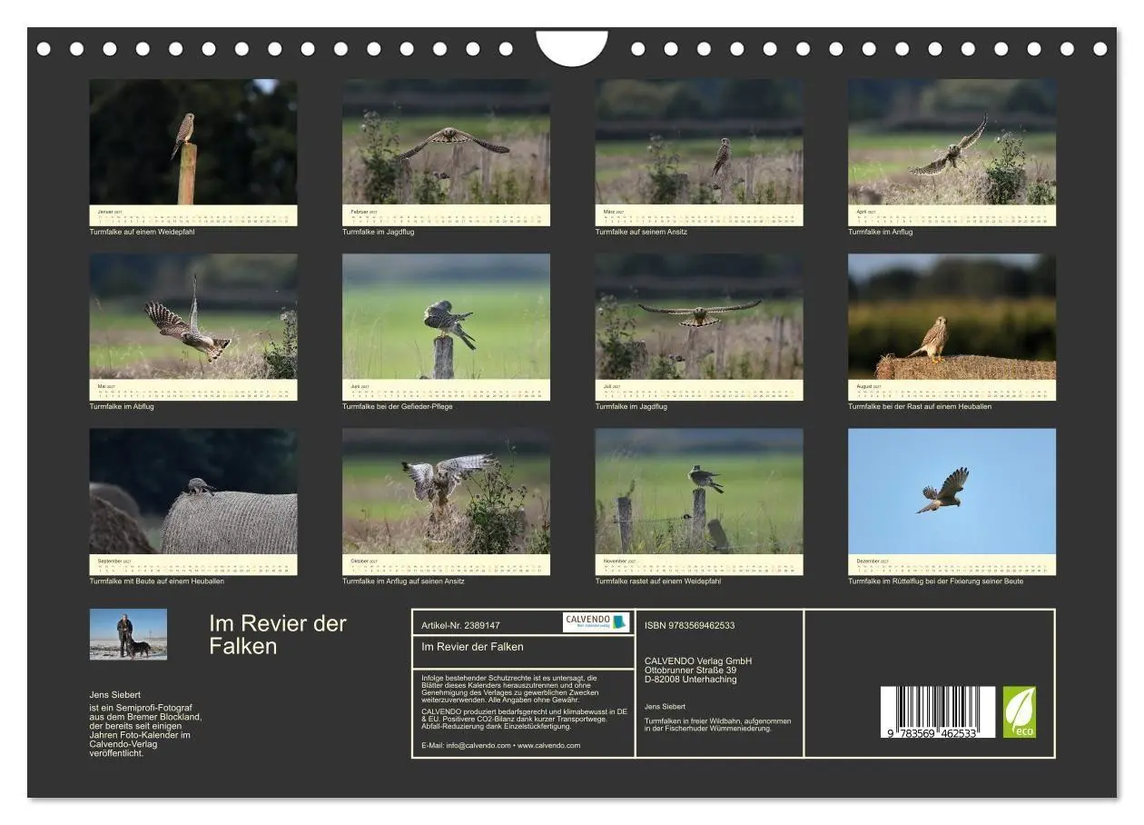 Bild: 9783569462533 | Im Revier der Falken (Wandkalender 2027 DIN A4 quer), CALVENDO...