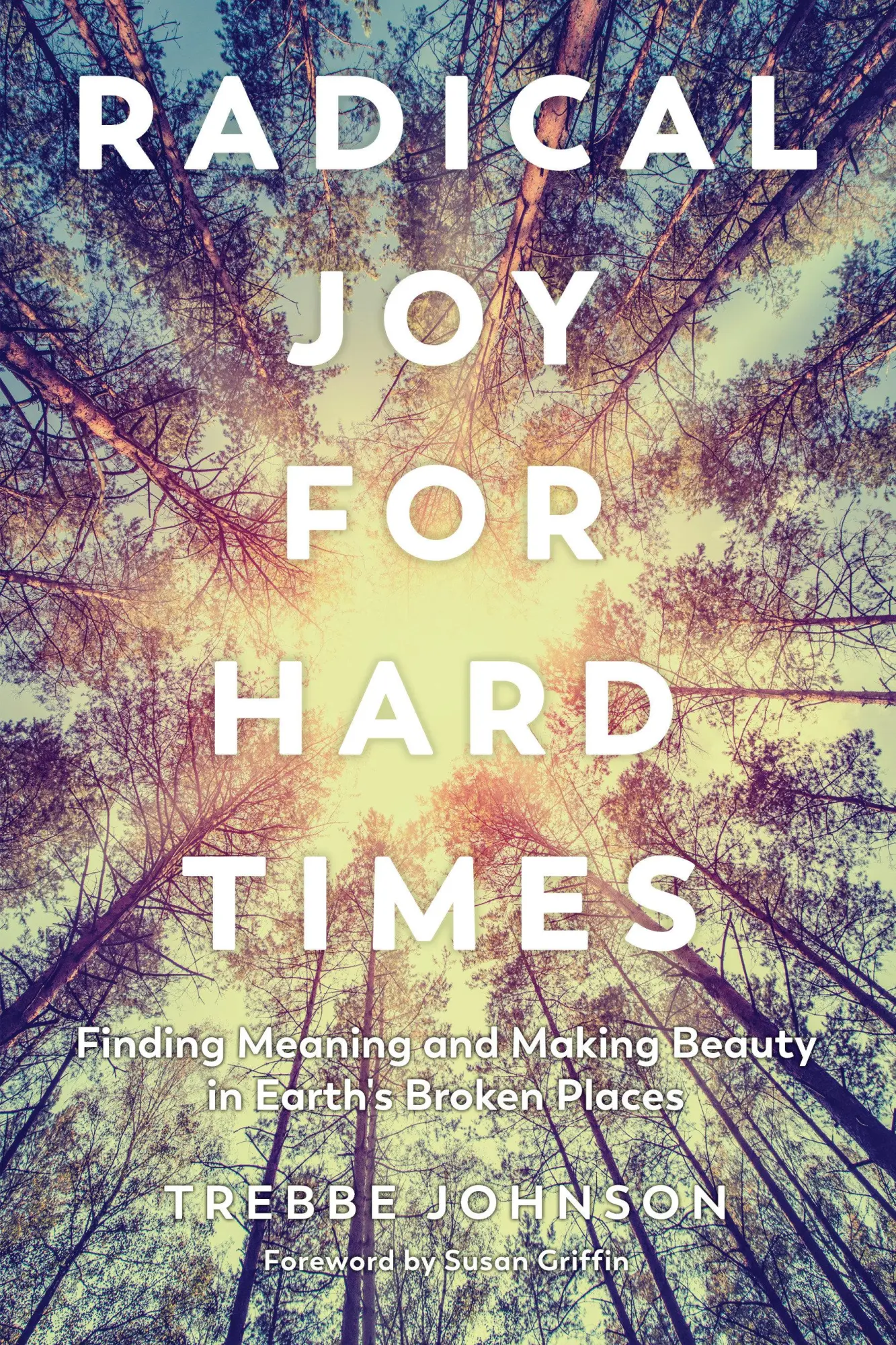 Cover: 9781623172633 | Radical Joy for Hard Times: Finding Meaning and Making Beauty in...