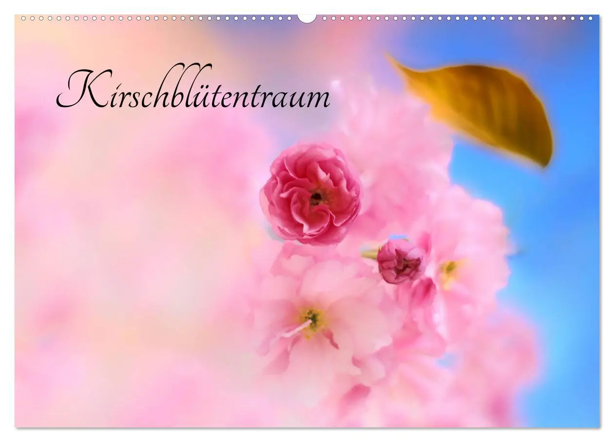 Cover: 9783457892633 | Kirschblütentraum (Wandkalender 2026 DIN A2 quer), CALVENDO...